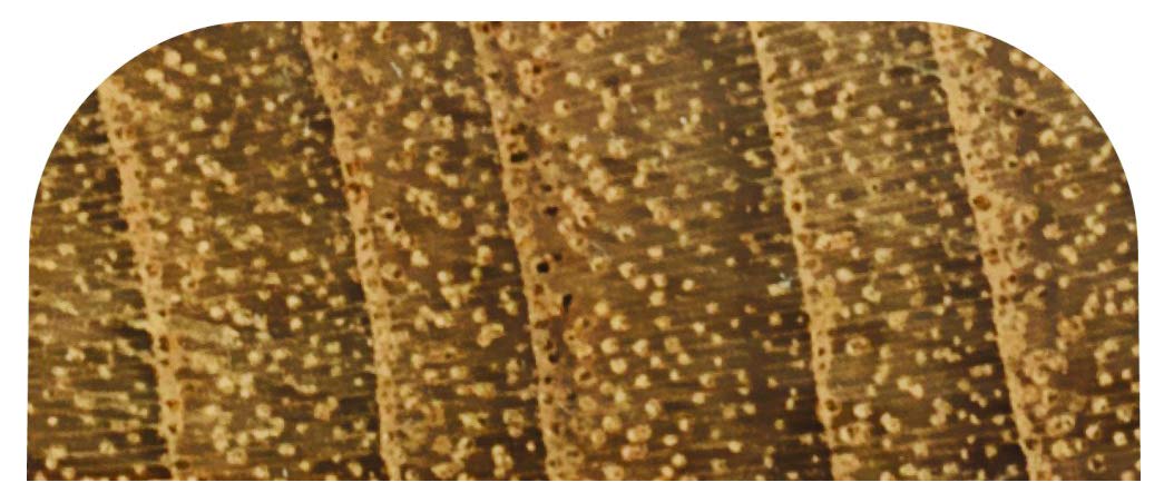 Whitecap Teak Batten - 7/8'' W,WBHDWB00IF21E9Q