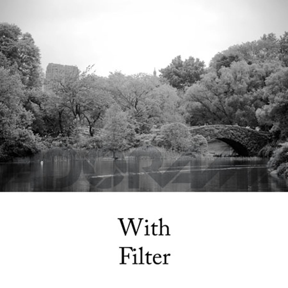 Tiffen 52Mm 21 Filter (Orange)
