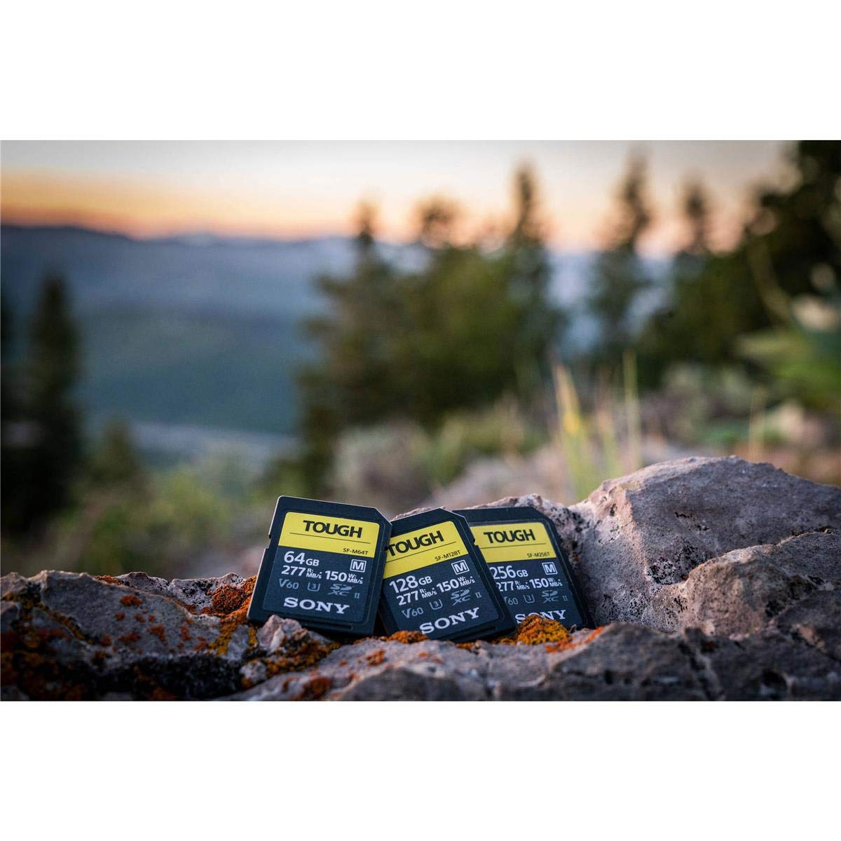 Sony TOUGH M series SDXC UHS II Card 64GB, V60, CL10, U3, Max R277MB/S, W150MB/S (SF M64T/T1)