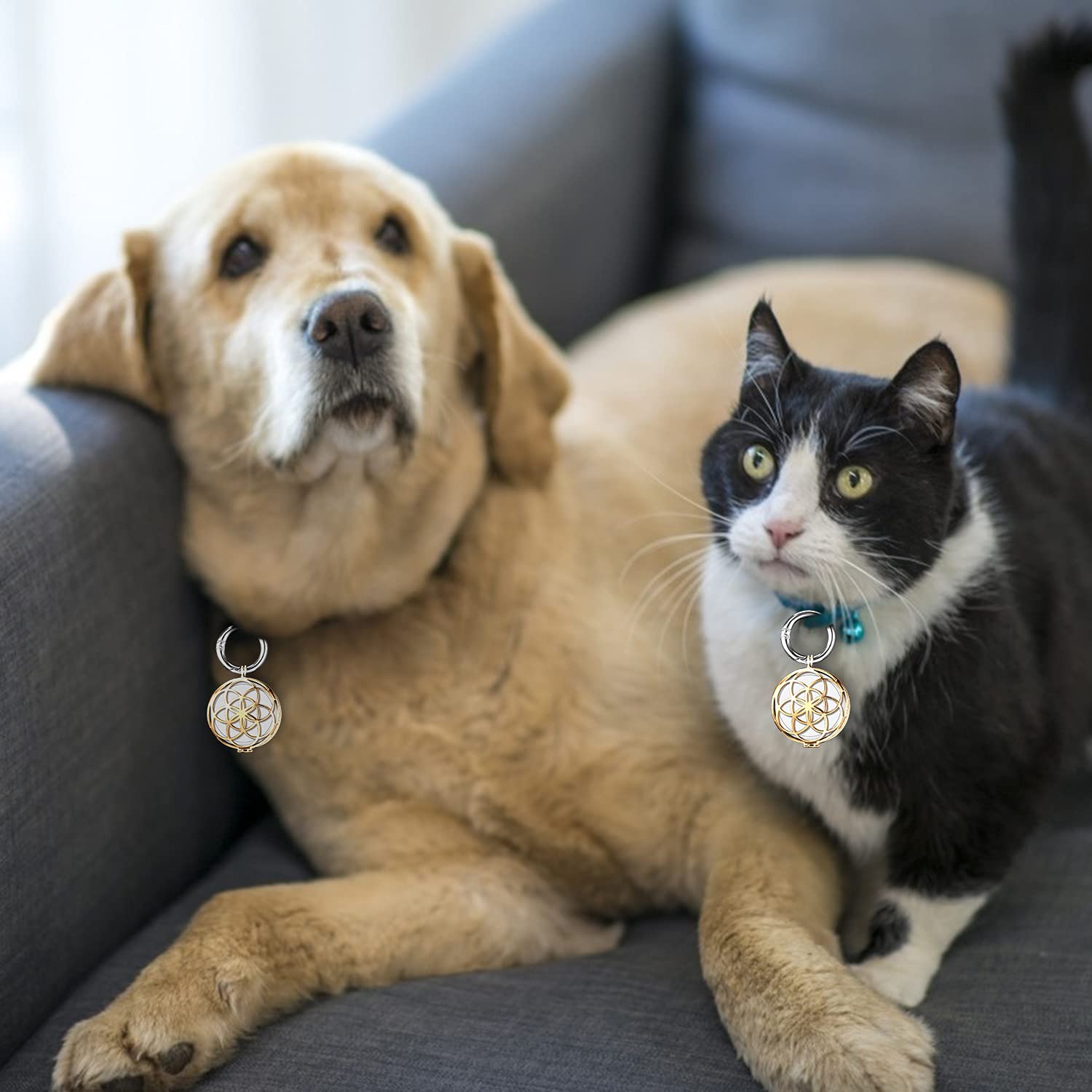 Viivy Viyiv Metal Keychain For Apple Airtag Protective Case Holder Key Ring Dog Luggage Bike   Gold