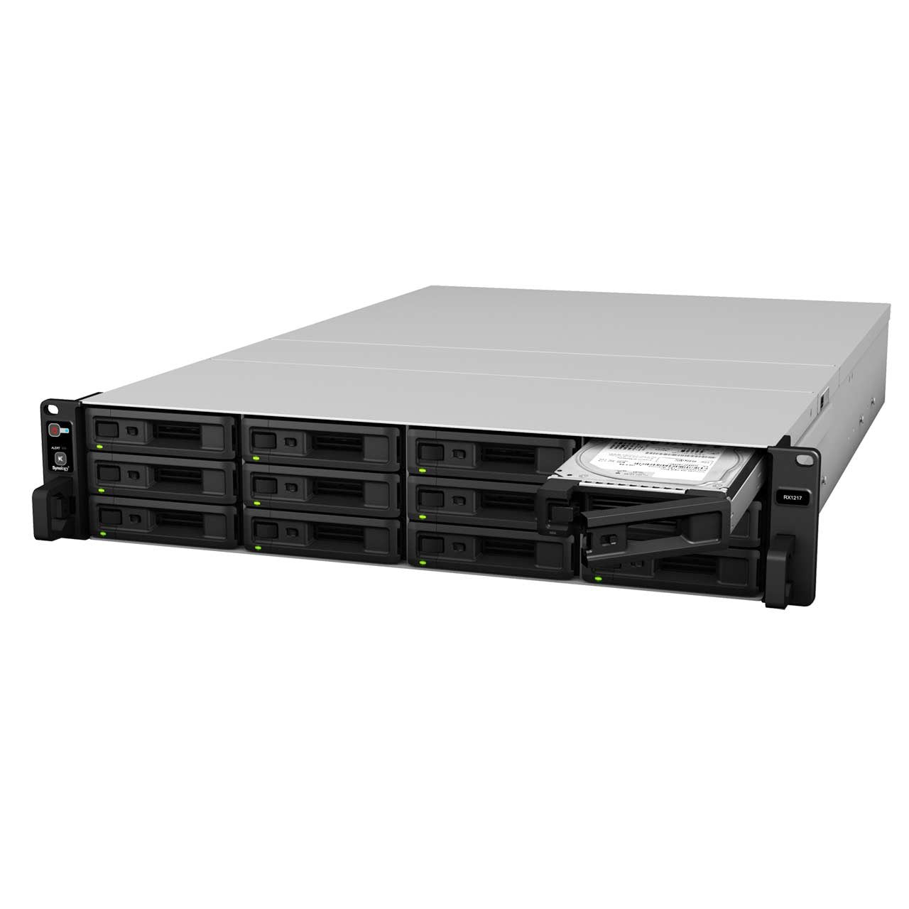 Synology Expansion Unit RX1217 12bay, 2 U, RX1217 (12bay, 2 U 50Hz to 60Hz, single phase)