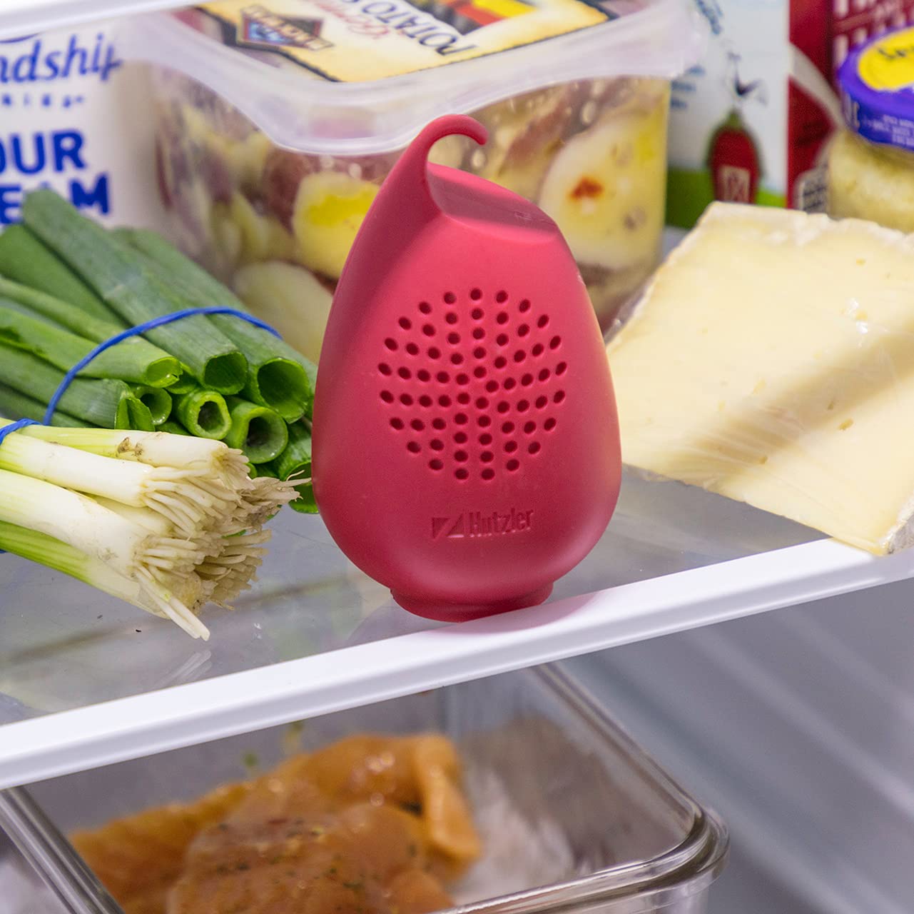 Hutzler Refrigerator Freshener Odor Absorber, Turquoise