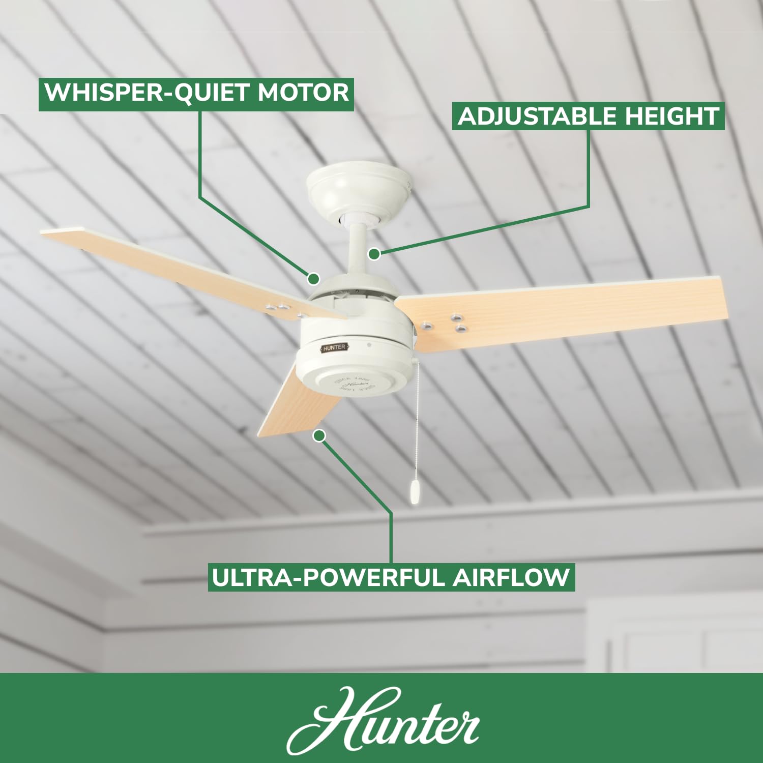 Hunter Fan 50262 Cassius 44-Inch Outdoor Ceiling Fan With Pull Chain Control, No Light, Fresh White Finish