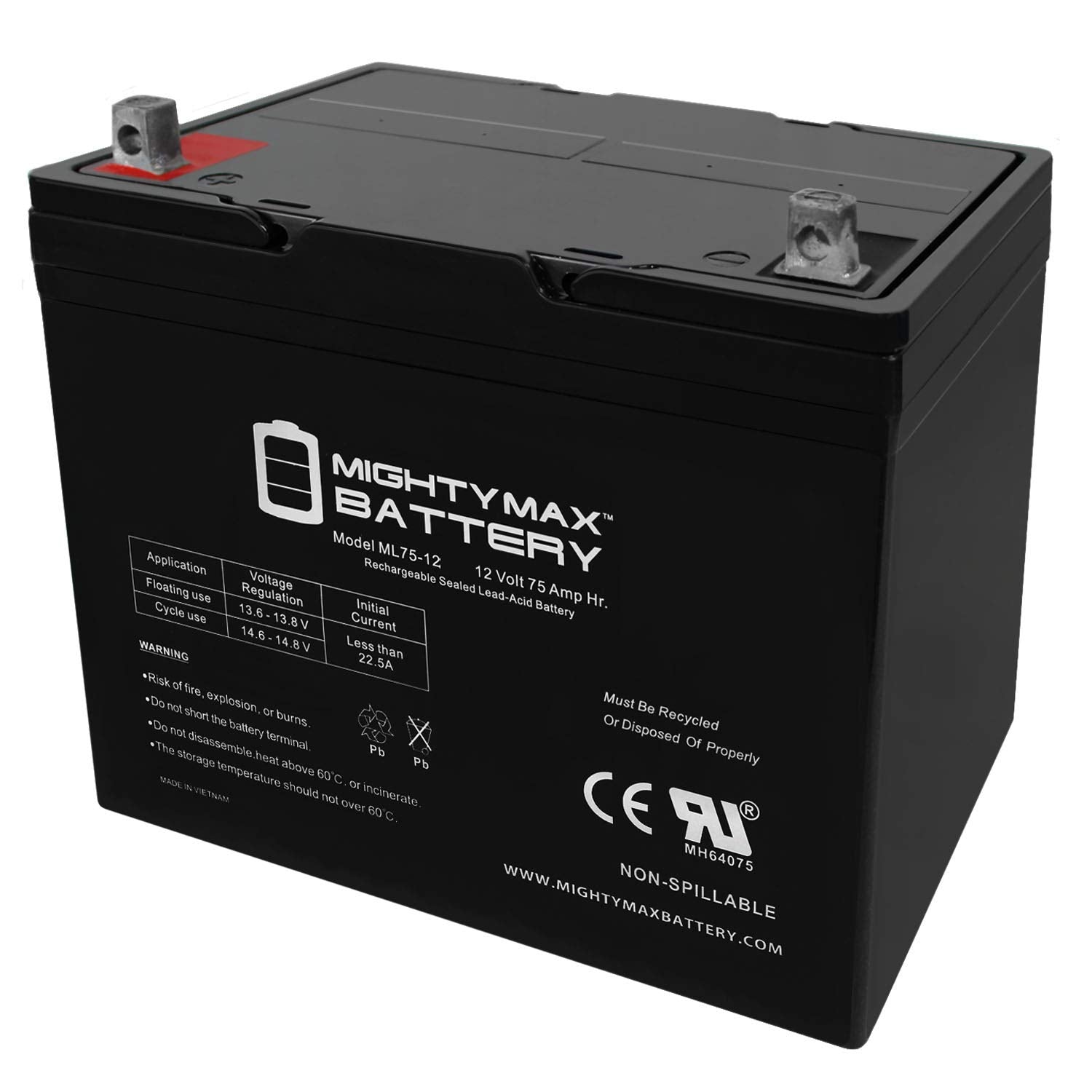 Mighty Max Battery 12V 75Ah Sla Battery Replacement For Wayne Wss30V Backup Sump Pump