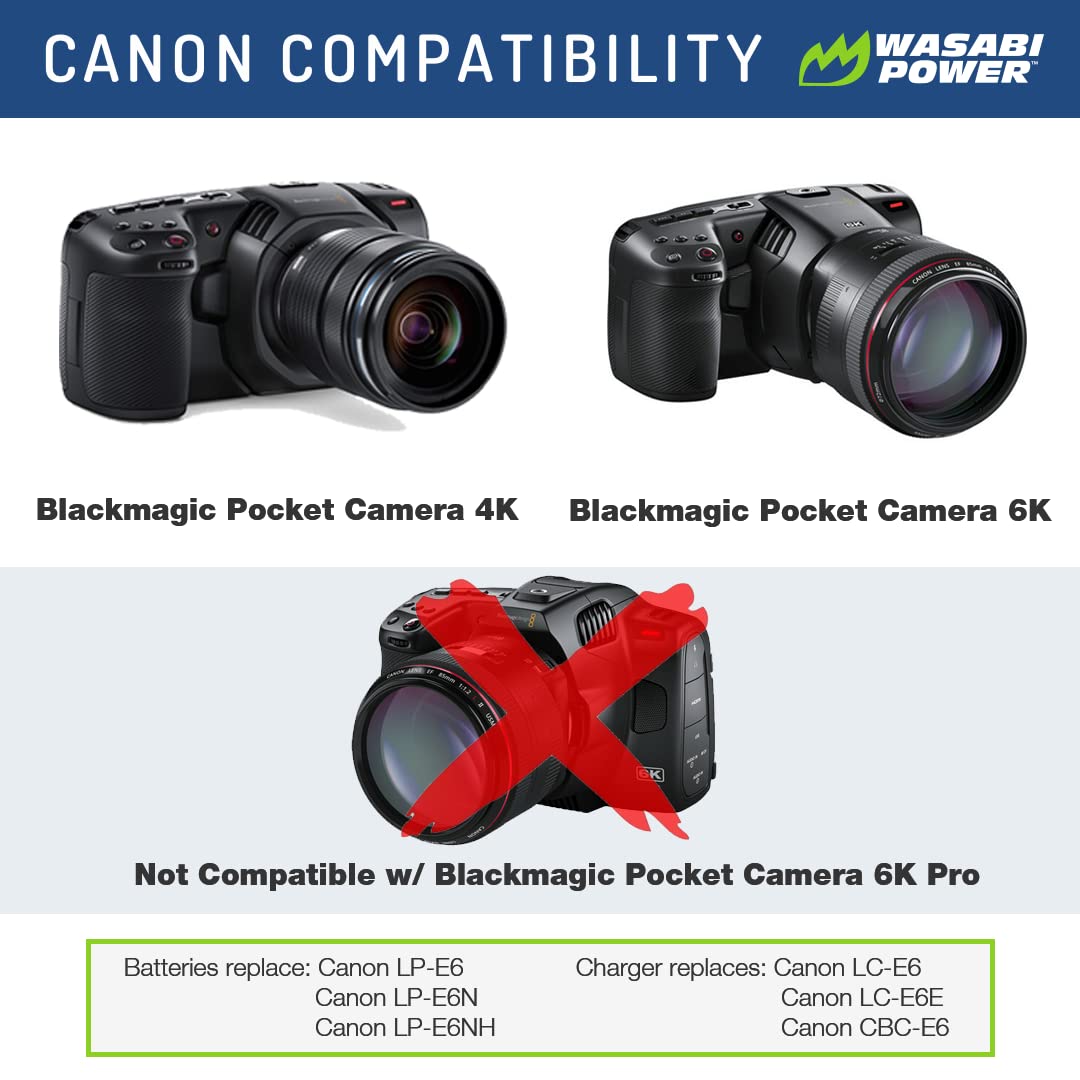 Wasabi Power LP E6, LP E6N Battery (2 Pack) and Charger for Canon EOS 5D Mark II/III/IV, 5DS, 5DS R, 6D, 6D Mark II, 7D, 7D Mark II, 60D, 70D, 80D, 90D, R, R5, R6, Ra, XC10, XC15, BMPCC 4K, BMPCC 6K