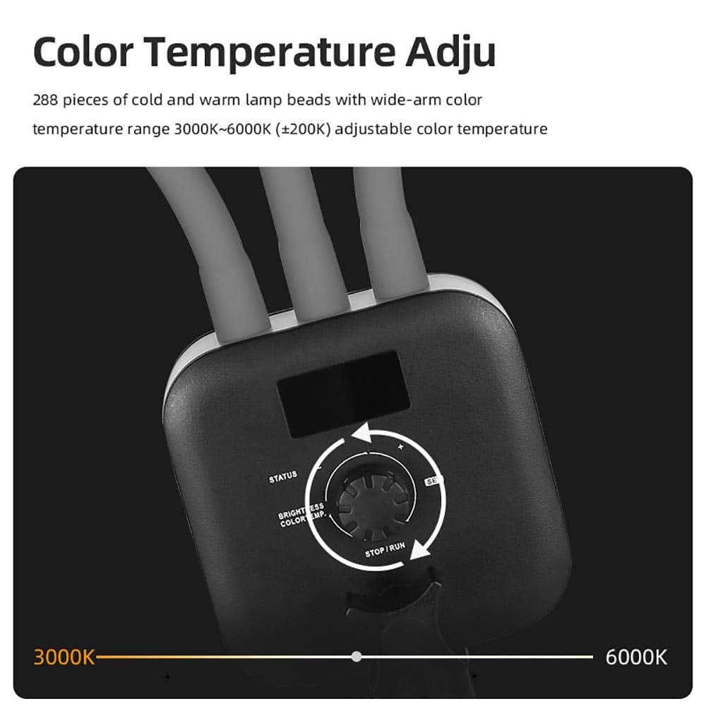 AMBITFUL Esthetician Light AL-20 with Phone Holder, Adjustable Tripod, Remote Control, LCD Screen - 3000K-6000K for Makeup, Manicure, Tattoo