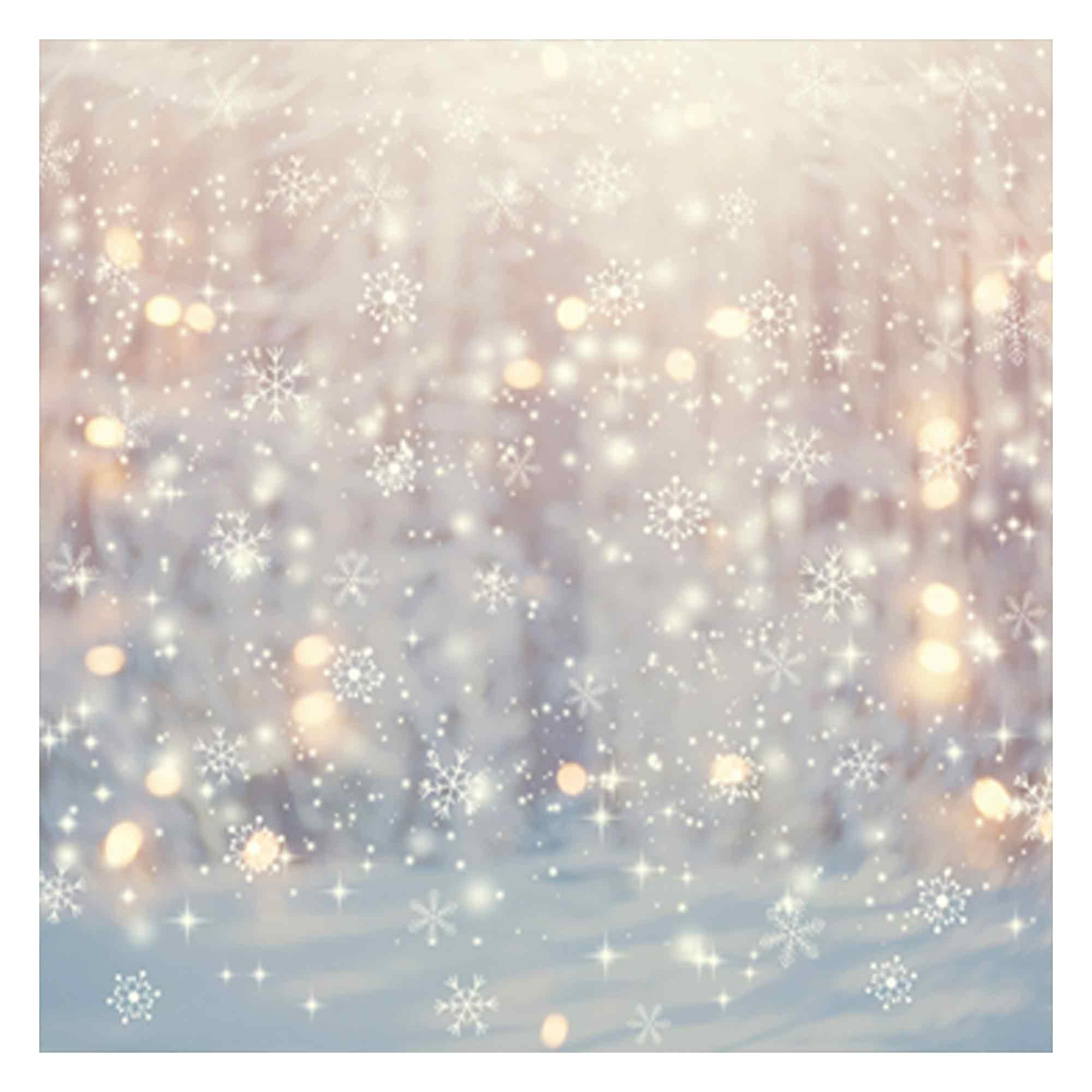 Allenjoy 6 X 6 Ft Winter Wonderland Photography Backdrop Christmas Glitter Bokeh Snowflakes Background For Kids Children Newborn