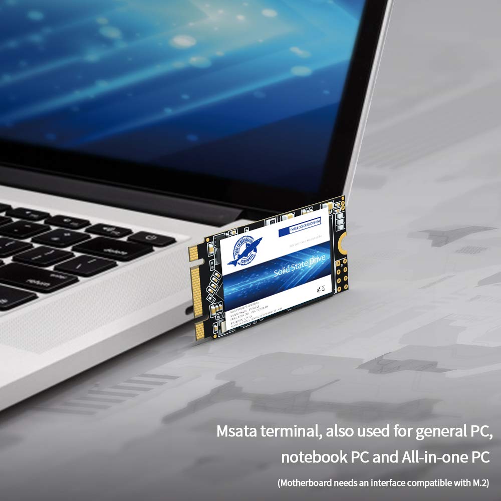 Dogfish Ssd Sata M.2 2242 250Gb Ngff Internal Solid State Drive High Performance Hard Drive Desktop Laptop Sata Iii 6Gb/S (M.2 2242, 250Gb)