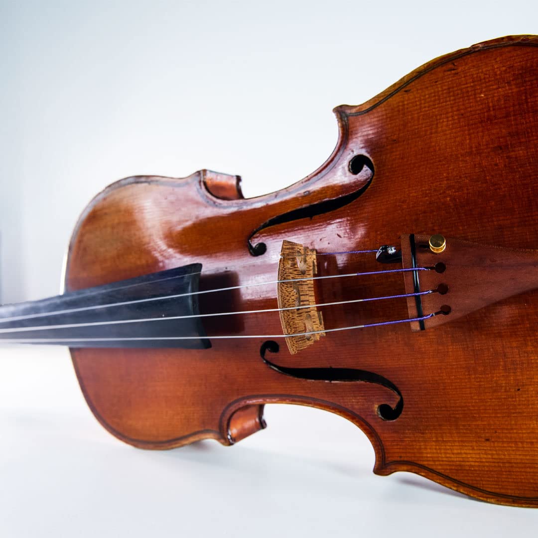 Thomastik Infeld Pi100 Peter Infeld Violin Strings 4/4 Full Set With Platinum E   Synthetic Core 4/4 Violin Strings Including Pl