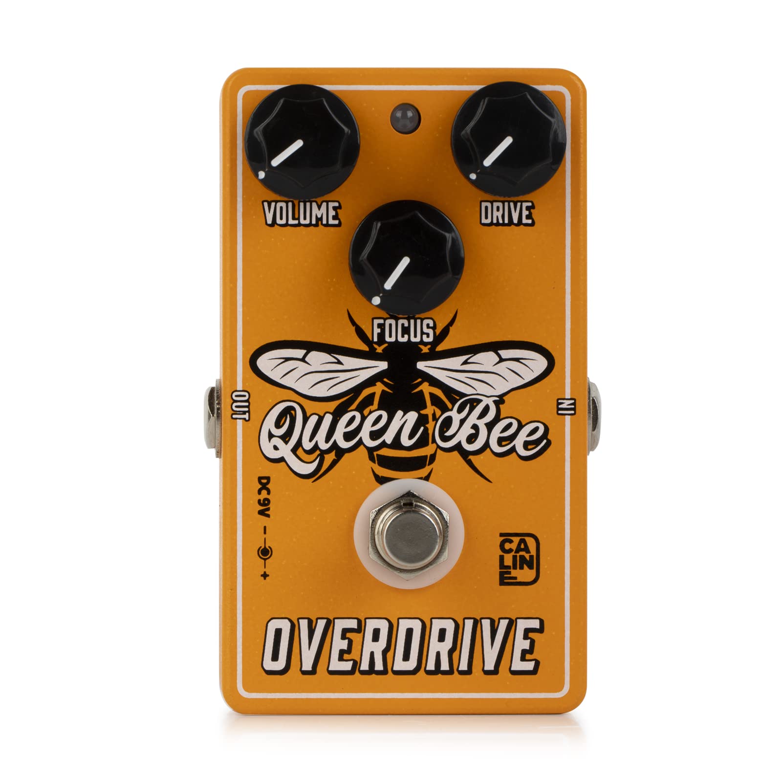 Caline Cp 503 Queen Bee Overdrive Floor Effect Device