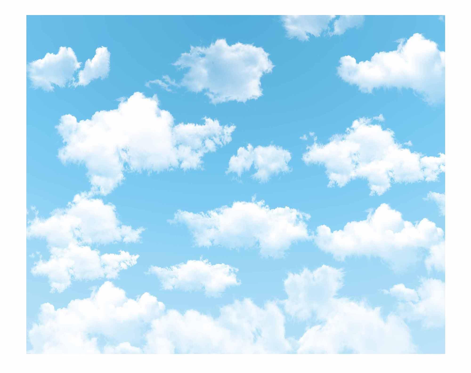 Allenjoy 10X8Ft Blue Sky White Cloud Backdrop For Newborn Spring Portrait Photography Pictures Kids Children World Travel Aviator Birthday Party Decor Welcome Baby Shower Photo Shoot Background