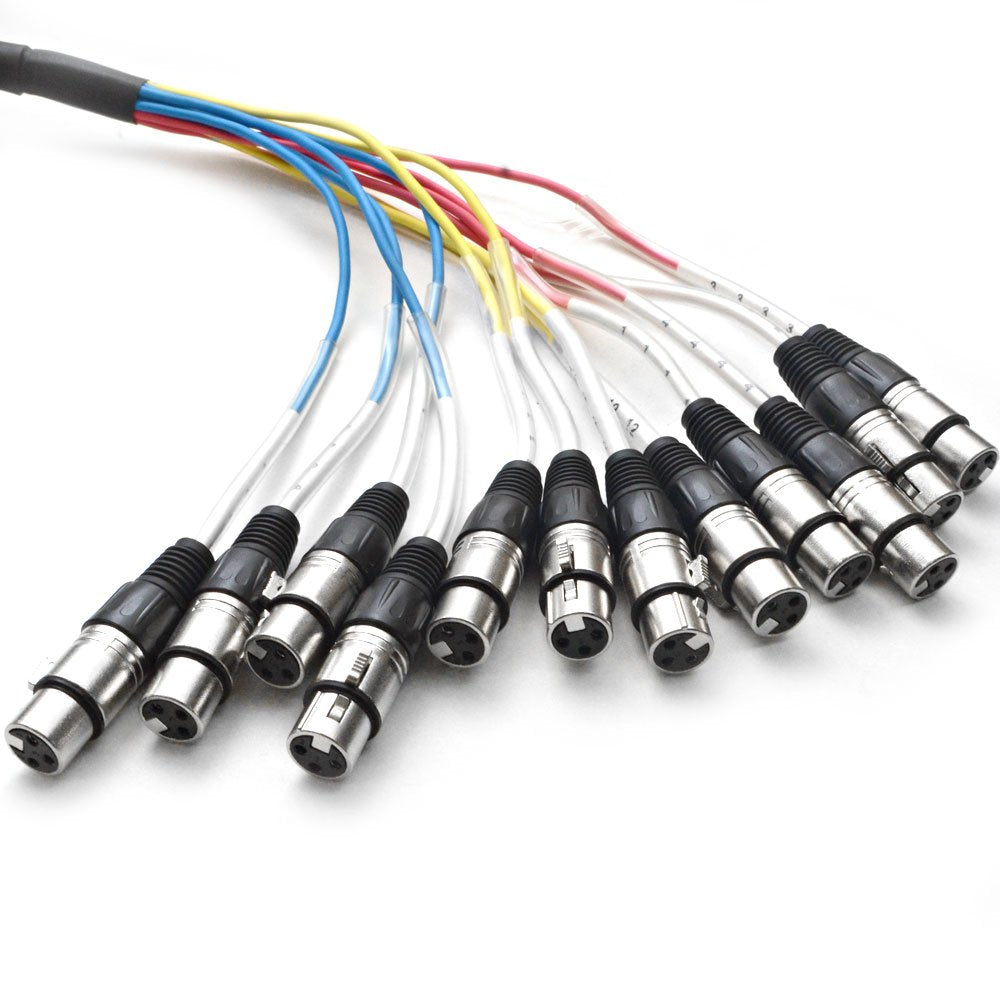 Seismic Audio   12 Channel Xlr Snake Cable   10 Feet Long   Pro Audio Snake For Live Live, Recording, Studios, And Gigs   Patch,