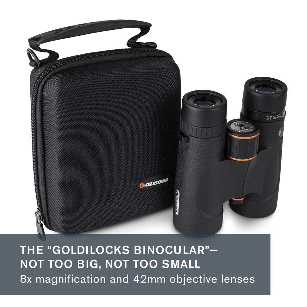 Celestron   Regal Ed 8X42 Binocular   Ed Binoculars For Birding, Hunting And Outdoor Actvities   Phase And Dielectric Coated Bak