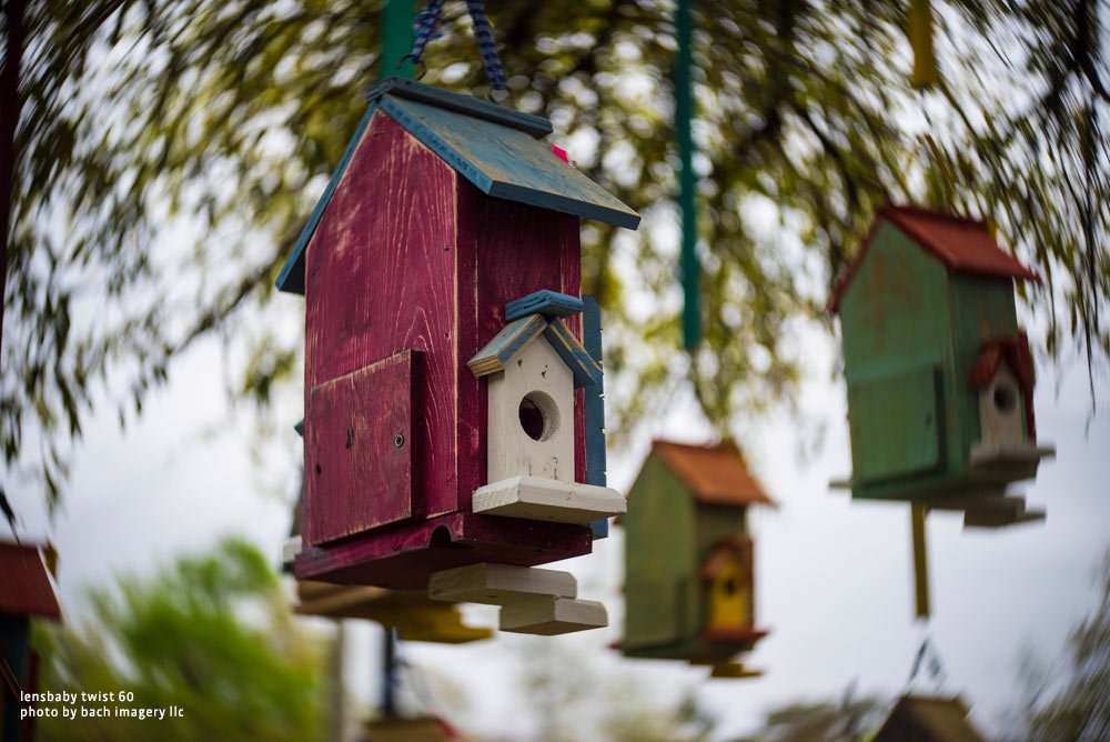 Lensbaby Lb 7??C Twist 60?Ef Lens With Case For Connection