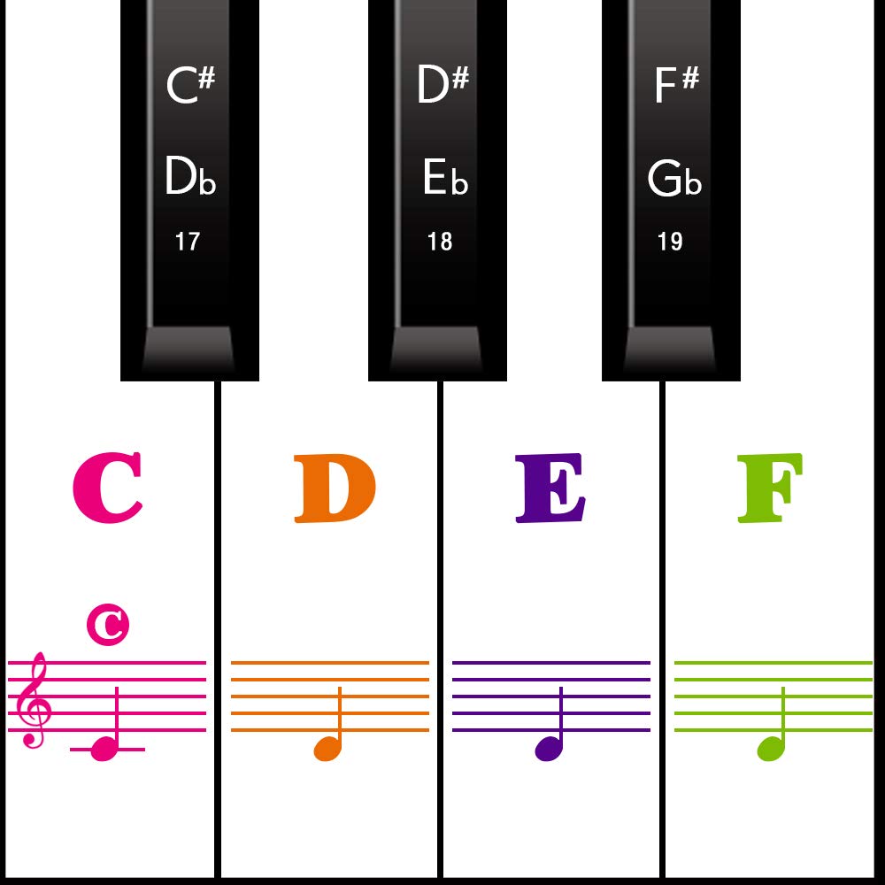 Piano Keyboard Stickers For 8861 5449 Key,Colorful Transparent Removable For Kids Beginners (Full Color)