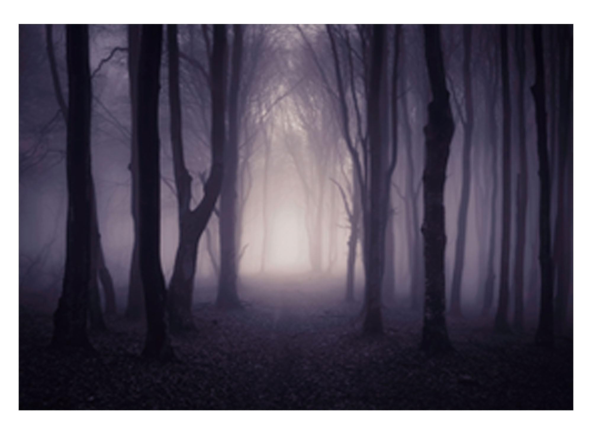 Allenjoy 7X5Ft Misty Dark Forest Woods Halloween Backdrop For Photography Gloomy Grove Mystery Background For Portrait Magic Witch Wizard Sorcerer Ghost Themed Party Banner Decors Photo Props