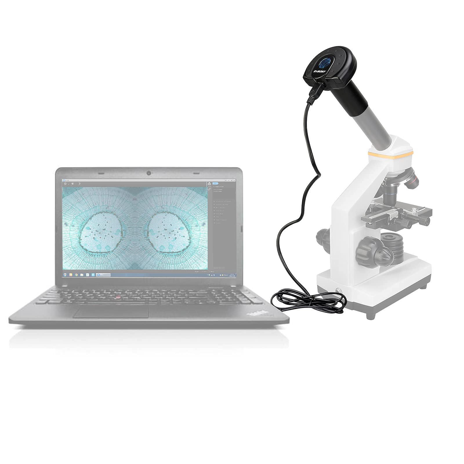 Svbony Sv189 Microscope Digital Camera, 1.3 Million Pixel Usb2.0 Microscope Accessories, Suitable For Microscope Color Photograp