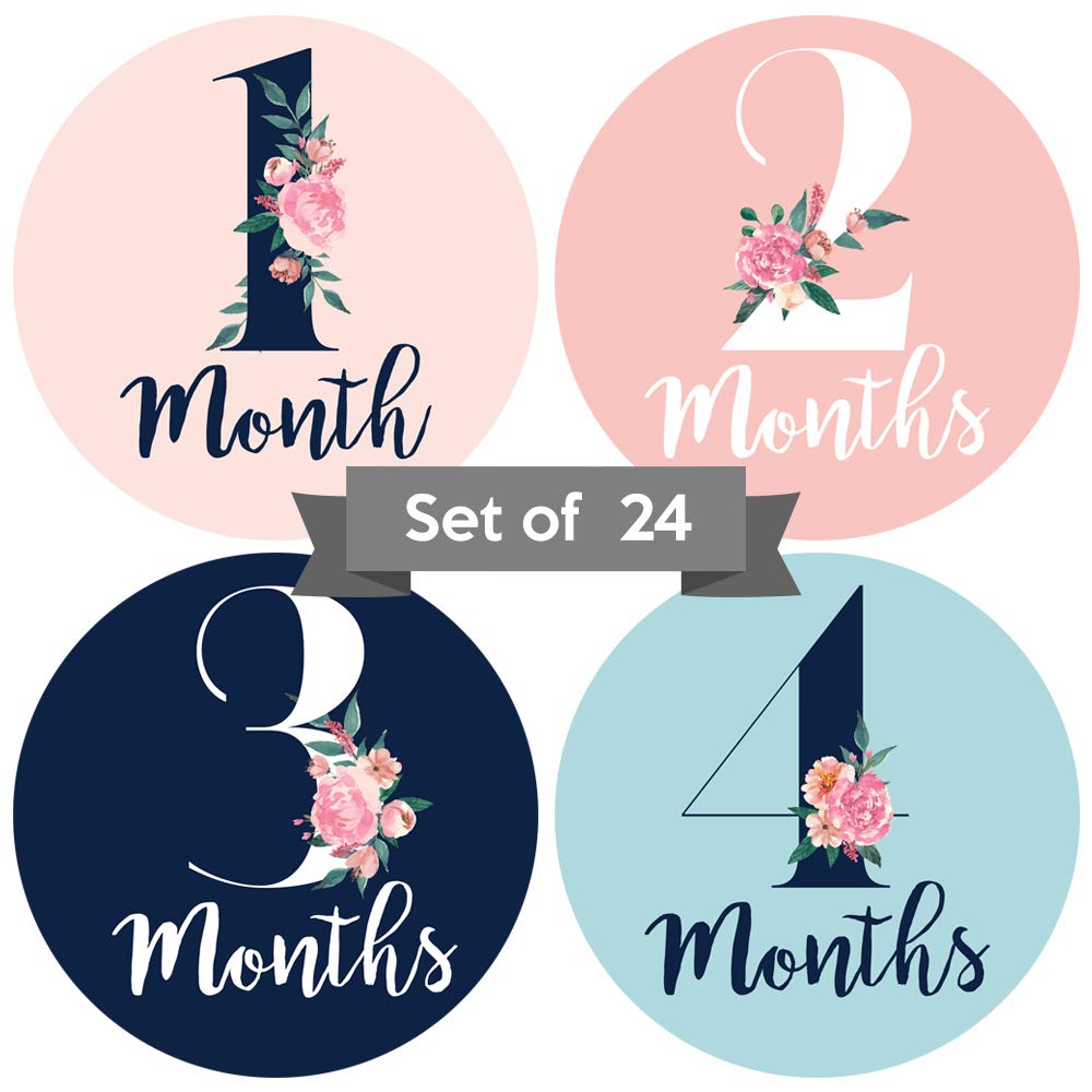 Baby Monthly Stickers | Floral Baby Milestone Stickers | Newborn Girl Stickers | Month Stickers For Baby Girl | Baby Girl Stickers | Newborn Monthly Milestone Stickers (Set Of 24)