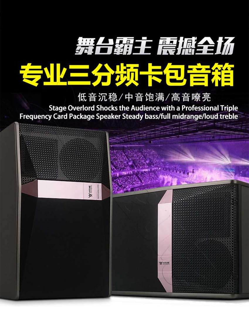 ACEUME Karaoke Machine - TSRINK520-16TB 22" All-in-One KTV Audio Set for Home Use