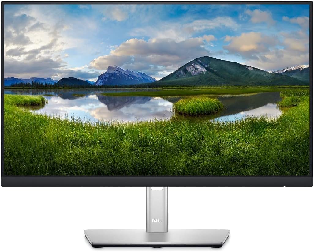 MNTR DELL P2222H 22 IPS R