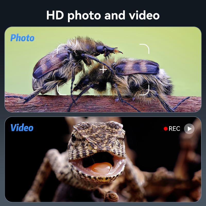 Microscope Lcd Digital Coin Microscope 500X, Coin Magnifier With 8 Adjustable Led Lights, Pc View Compatible With Windows/Macboo