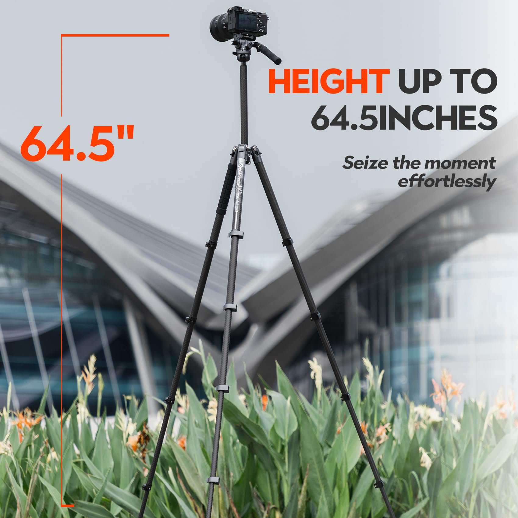 Fotopro Carbon Fiber Tripod 65 Inch Travel Tripod For Camera With Fluid Head Ball Head Extendable Handle 2.95Lb Lightweight Came