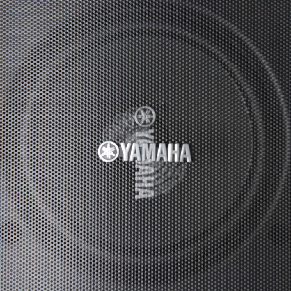 Yamaha Ns-Aw294Bl Indoor/Outdoor 2-Way Speakers (Black,2)