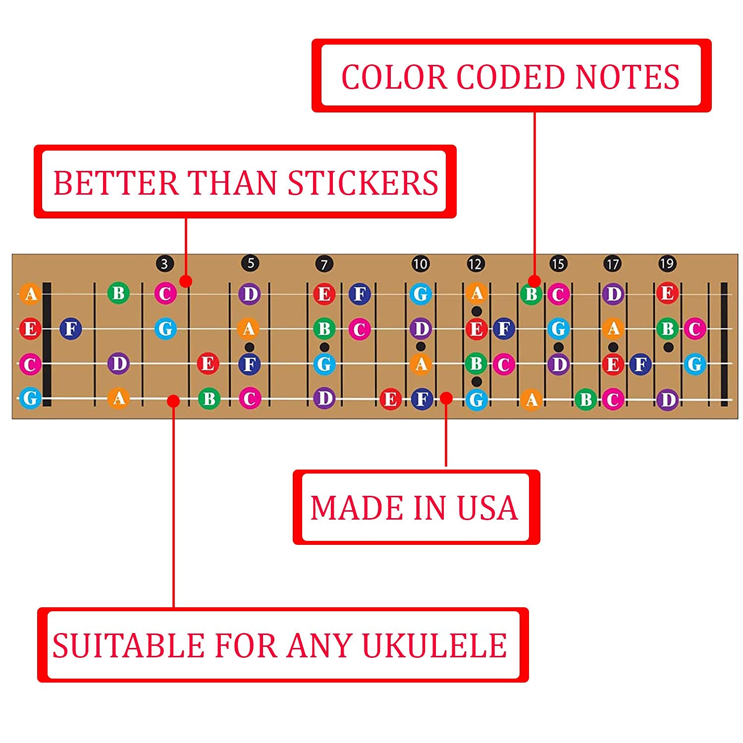 Color Coded Ukulele Guitar Fretboard Note Chart Learn To Play Guitar And Music Theory, Suitable For All Levels, Made In Usa