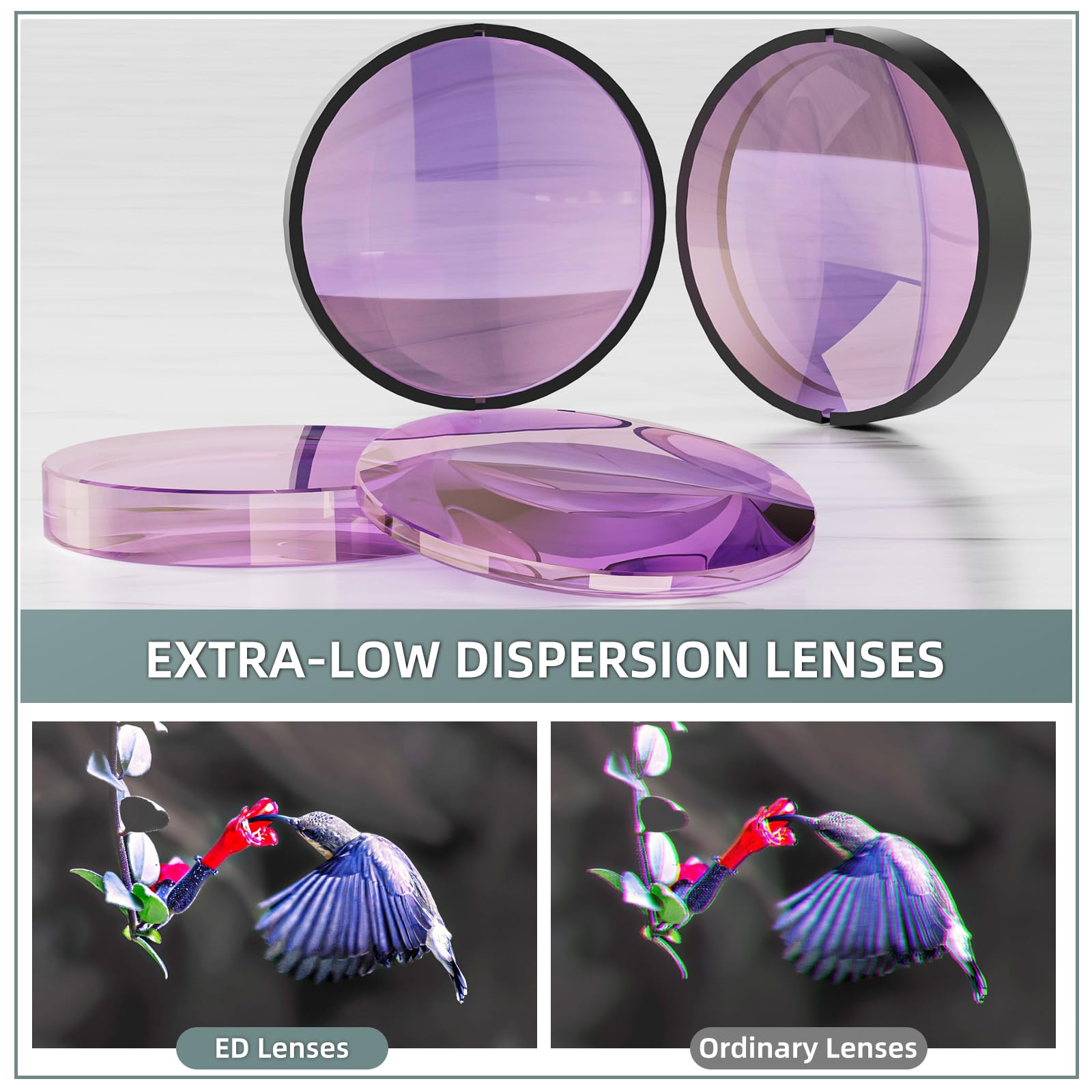 10X42 Ed Binoculars For Adults High Powered With Phone Adapter, Waterproof Binoculars With Ed Lenses, Super Bright Clear For Bir