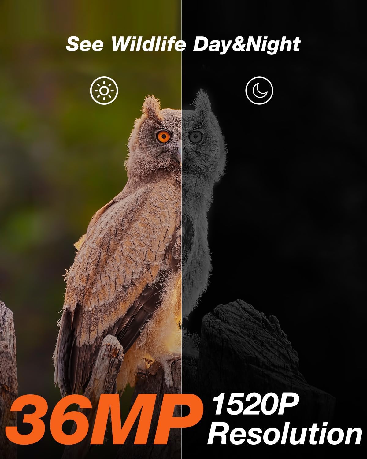 Izeeker Solar Trail Camera 36Mp 2.7K 30Fps With Night Vision 5200 Mah Rechargeable Lithium Battery No Glow Infrared Leds, Game C