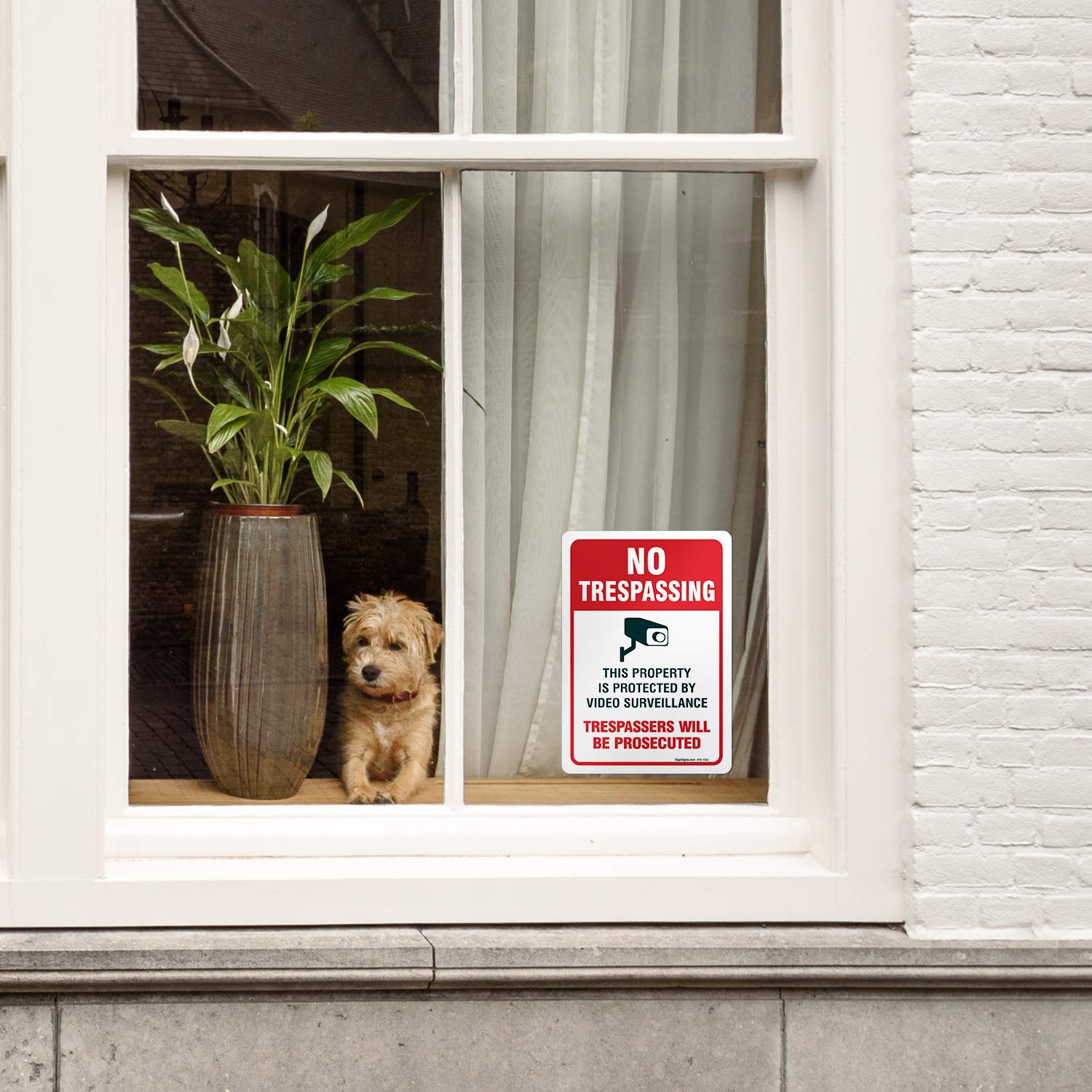 Sigo Signs Video Surveillance No Trespassing Sign, Cctv Security Camera, (2 Pack) 10X7 Inches, 4 Mil Vinyl Decal Stickers Weathe