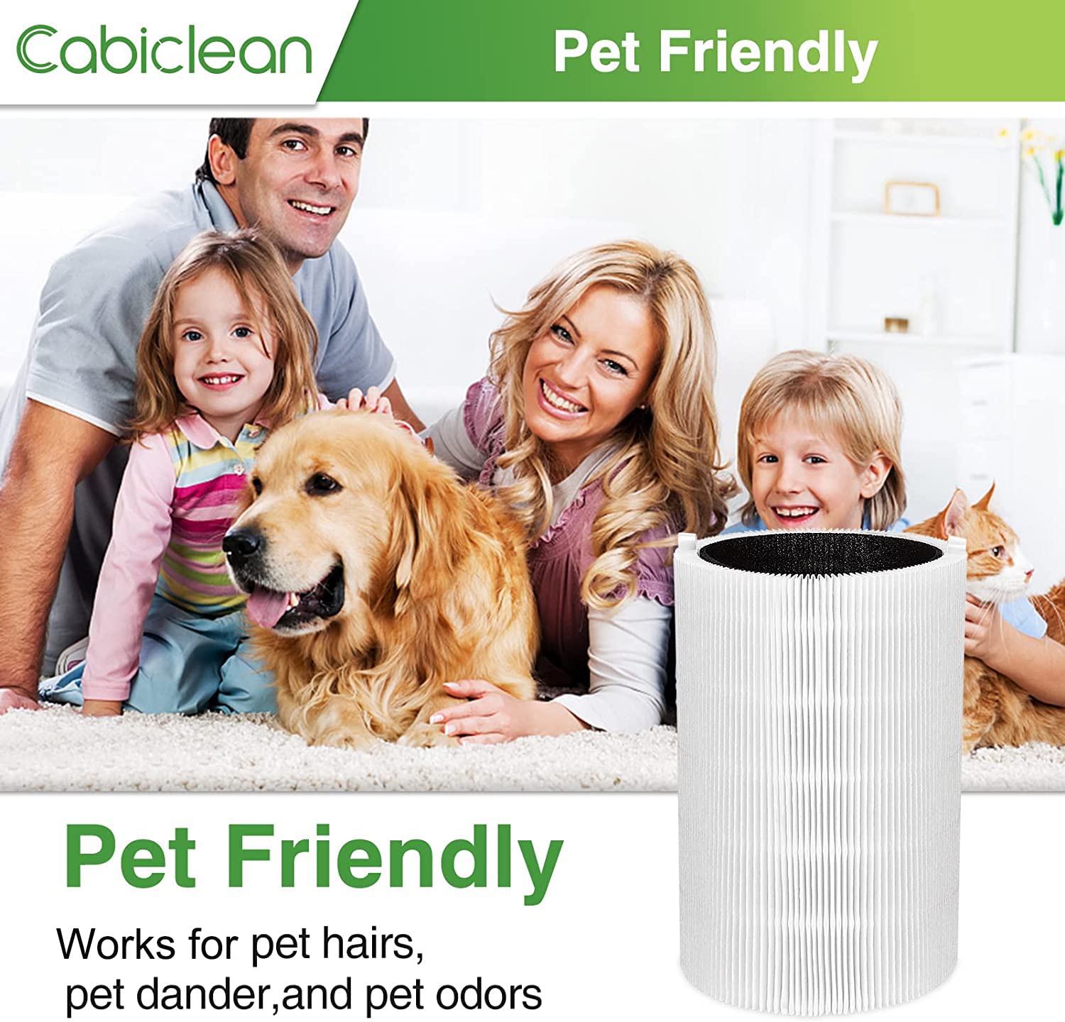 Blue Pure 411 Replacement Filters Compatible With Blueair Blue Pure 411 Genuine, 411+, 411 Auto And Mini Air Purifier, Include 2