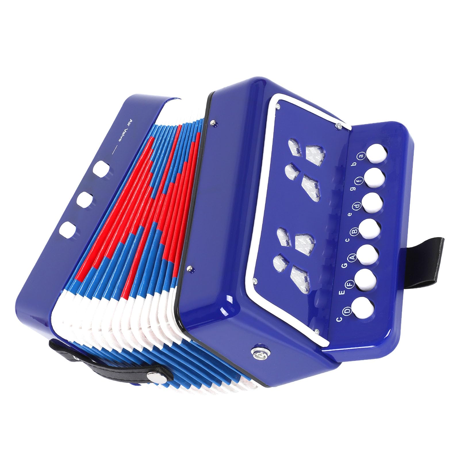 Aimeis Kids Accordion 10 Keys Button Accordian Musical Instrument Mini Accordion For Beginners (Blue)