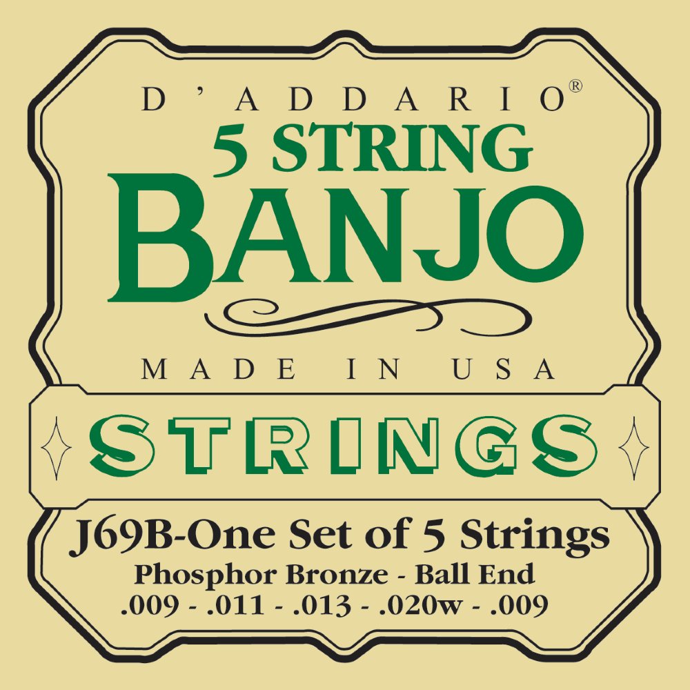 D'Addario J69 5 String Ball End Banjo Strings, Phosphor Bronze, Light, 9 20