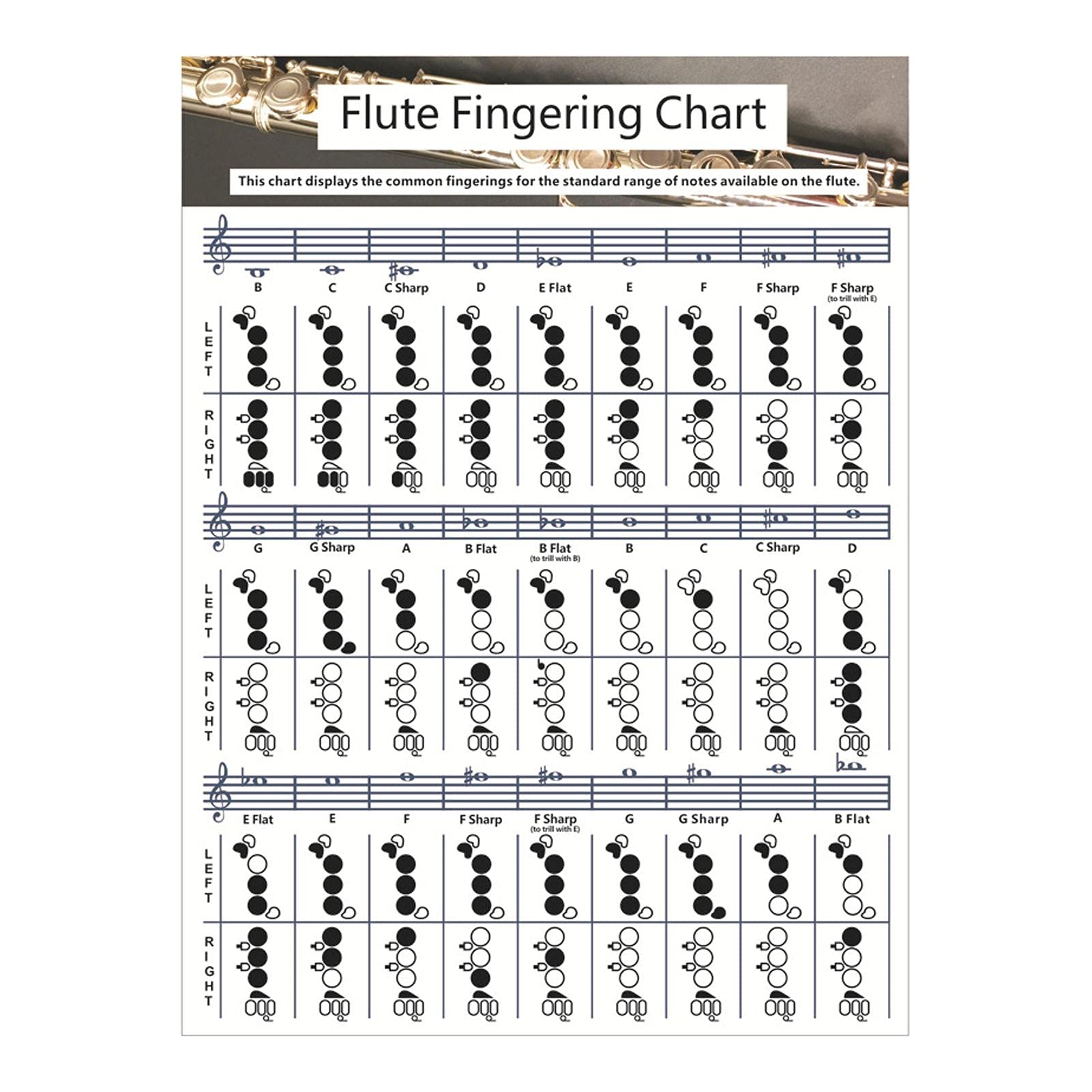 Sycooven Flute Chord Chart, Portable Durable Flute Fingering Chart, White Chord Chart For Flute Fingering Practice, Chord Chart