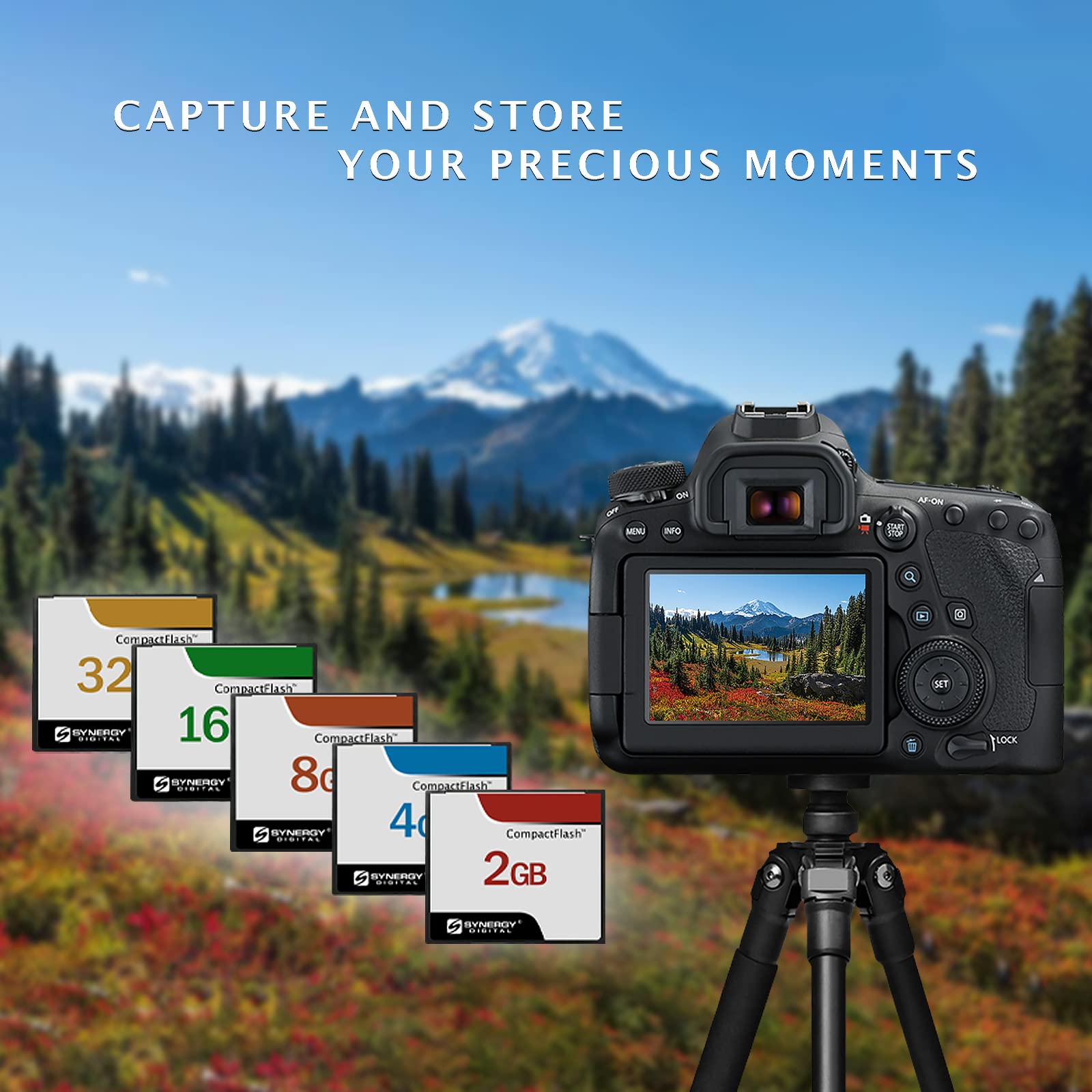 Olympus E 510 Digital Camera Memory Card 32Gb Compactflash Memory Card