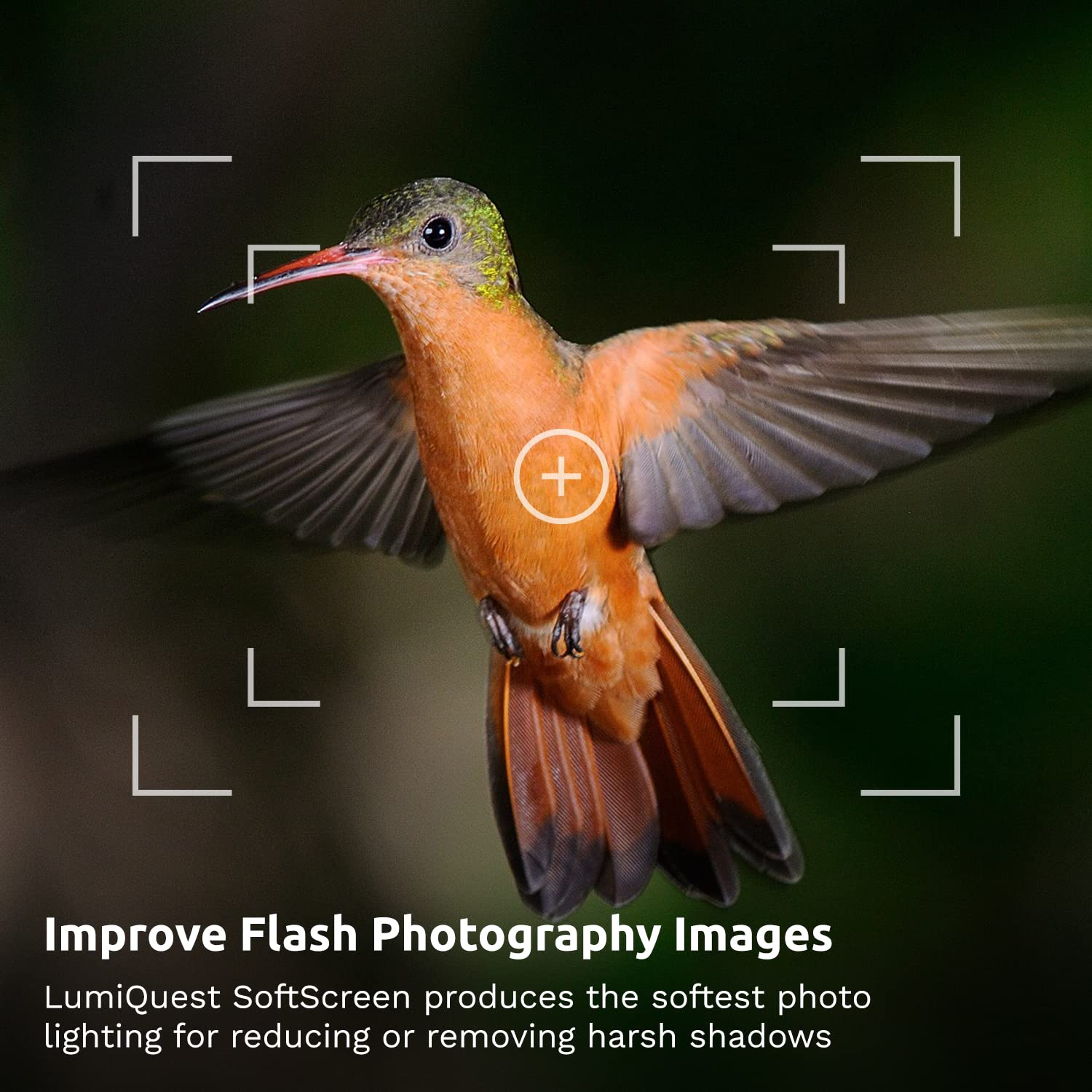 Lumiquest Soft Screen, Flash Diffuser & Light Softener, Universal Classic Design For Digital Slr Cameras, Black