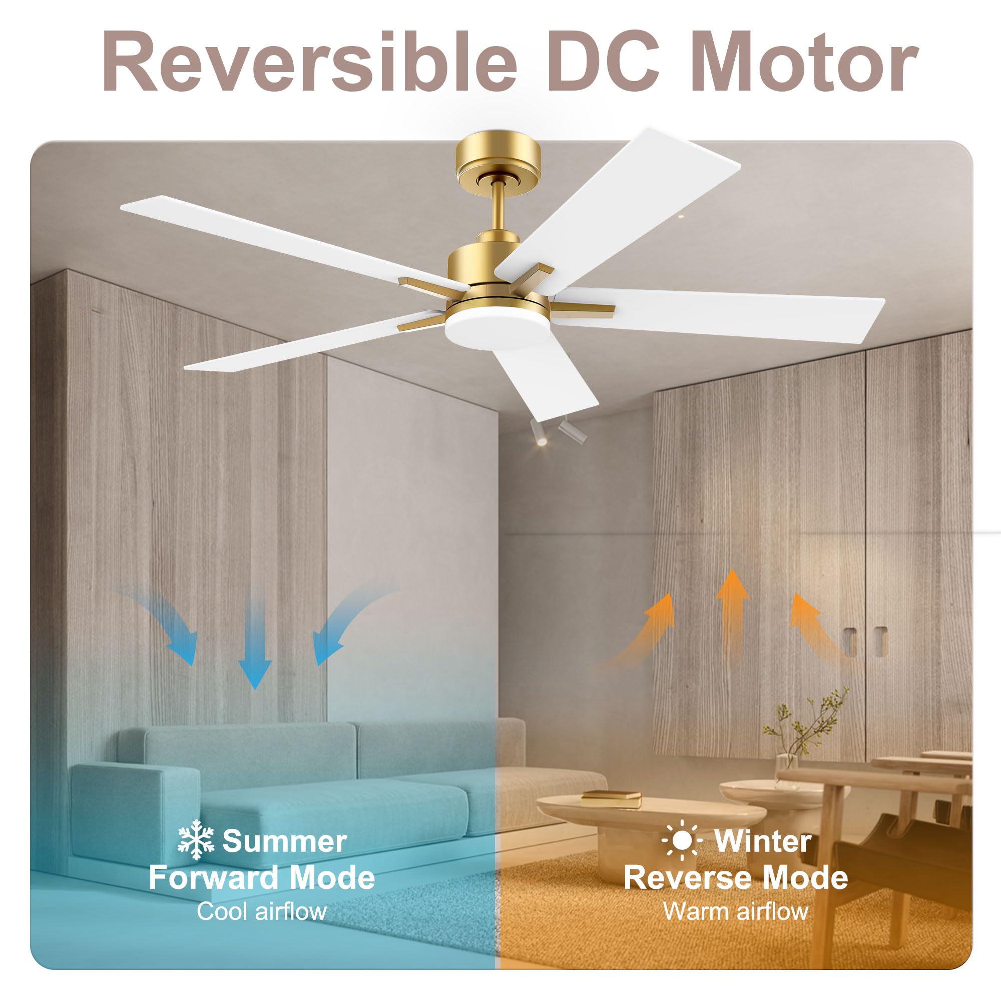 Lorpies 52    Smart Ceiling Fan With Led Lights Remote,Quite Dc Motor,Voice Control Via Alexa Google Wifi Phone,Outdoor Indoor M