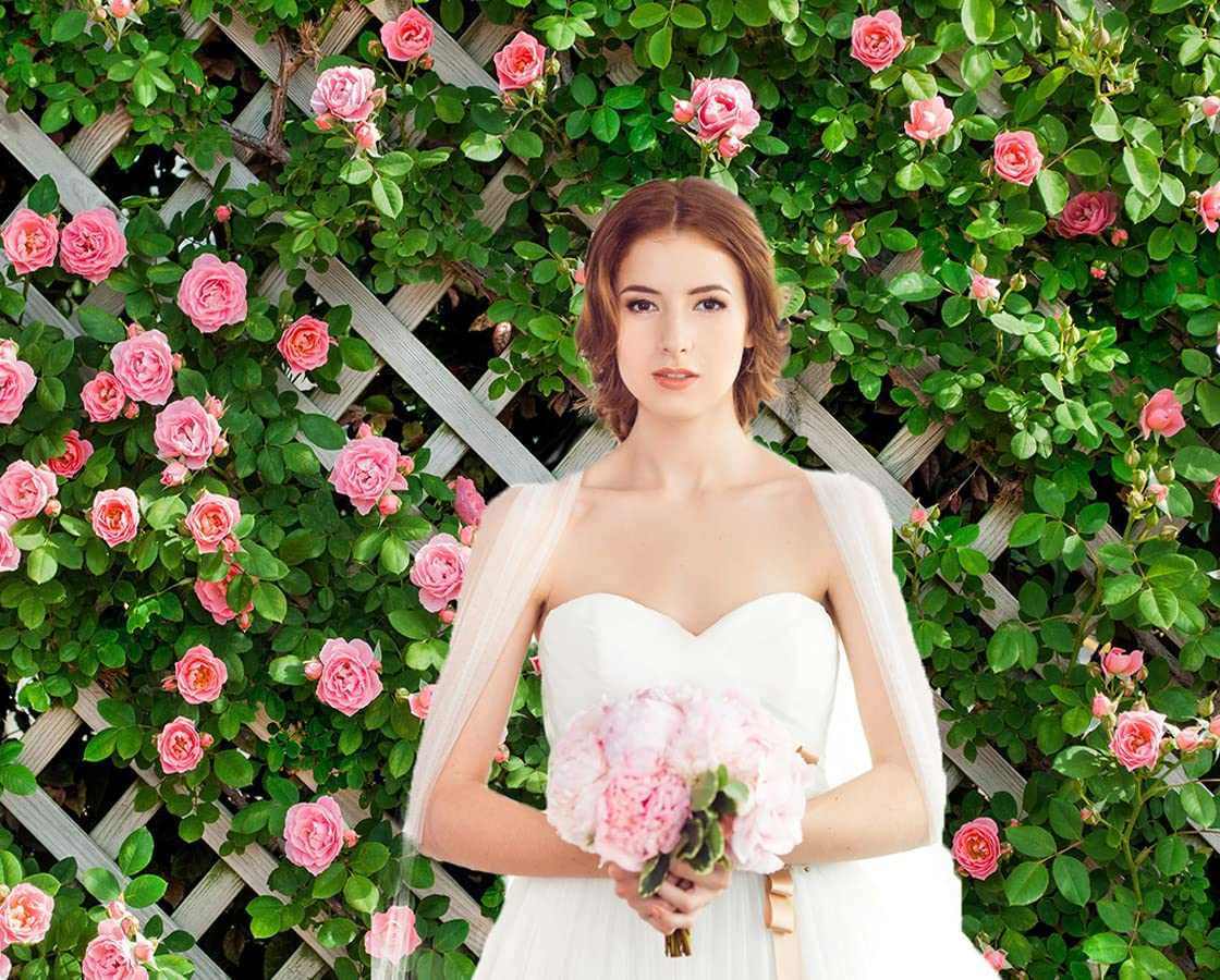 Aiikes 8X6Ft Flowers Backdrop For Photography Spring Floral Photo Backdrop Green Leaf Fence Backdrops Wedding Bridal Backdrop Ba