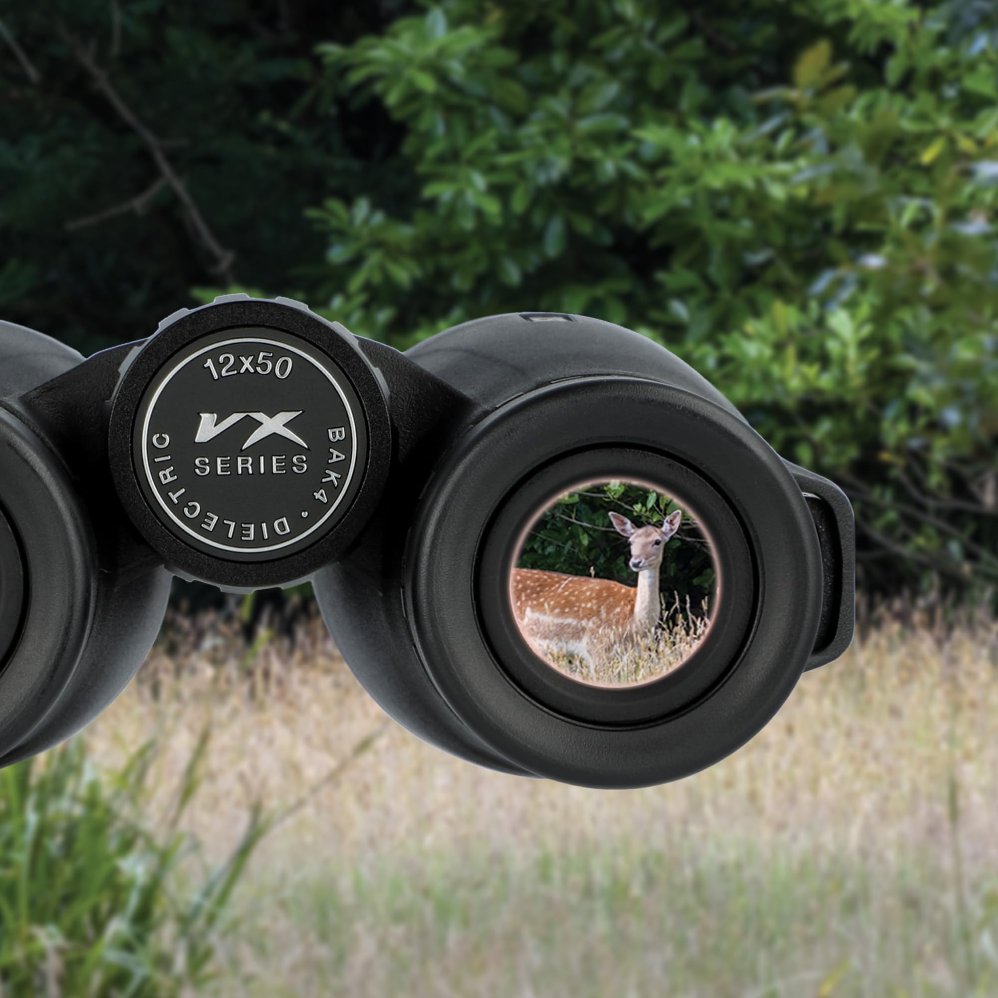 Carson Vx Series 12X50Mm Full Sized High Definition Waterproof Binoculars, Black (Vx 250)