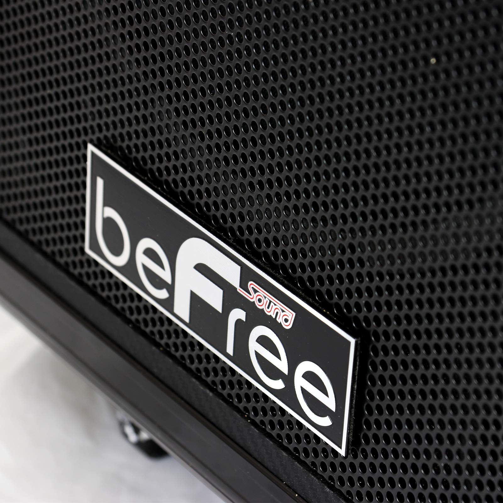 Befree Sound Sleek 10 Inch Professional Portable Bluetooth Pa Speaker With Remote Control, Microphone, Fm Radio, Sd And Usb Inpu