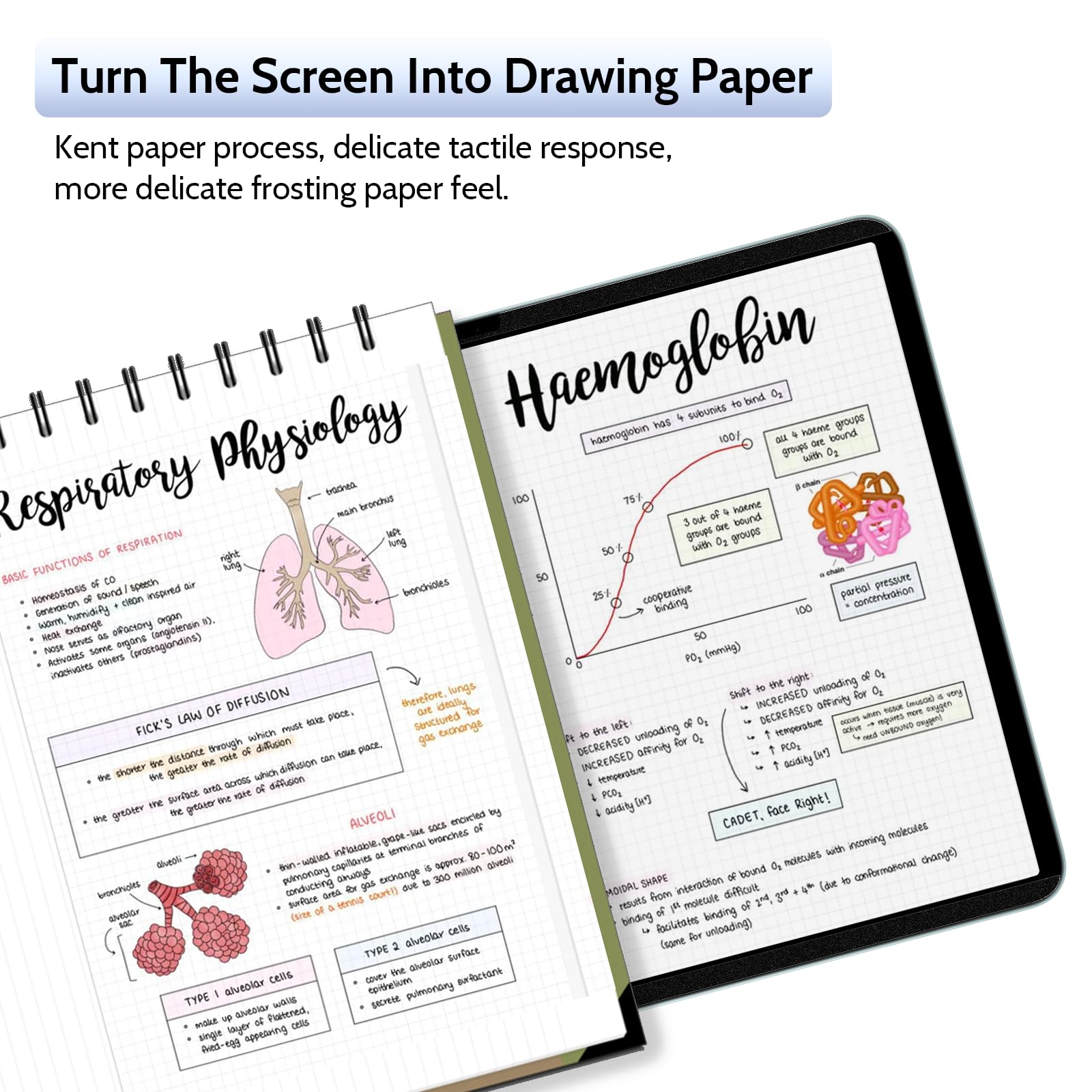 Peslv 2 Pack Magnetic Paperfilm For Ipad Air 6Th 11 Inch 2024, Feel Like Writing Drawing On Paper, Matte Removable Anti Glare Fi