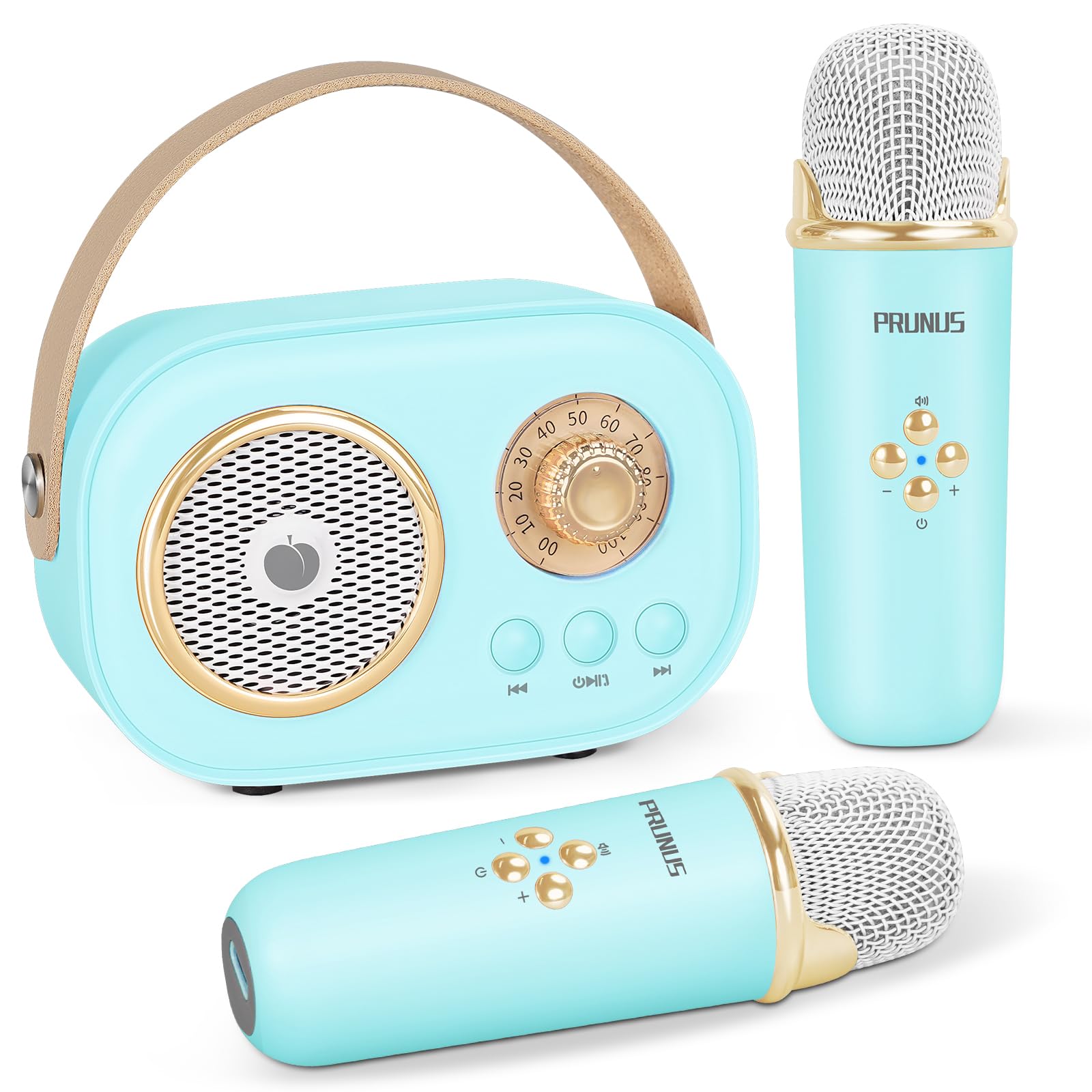 PRUNUS Mini Karaoke Machine for Kids&Adults,Portable Bluetooth Speaker with 2 Wireless Microphones and Stereo Sound Enhanced Bas