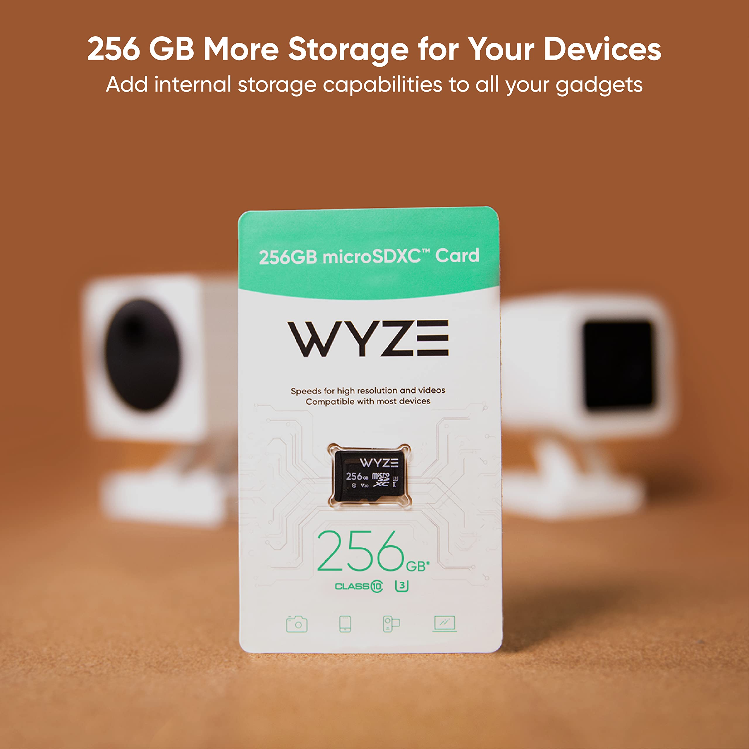 Wyze Expandable Storage 256Gb Microsdxc Card Class 10, Black