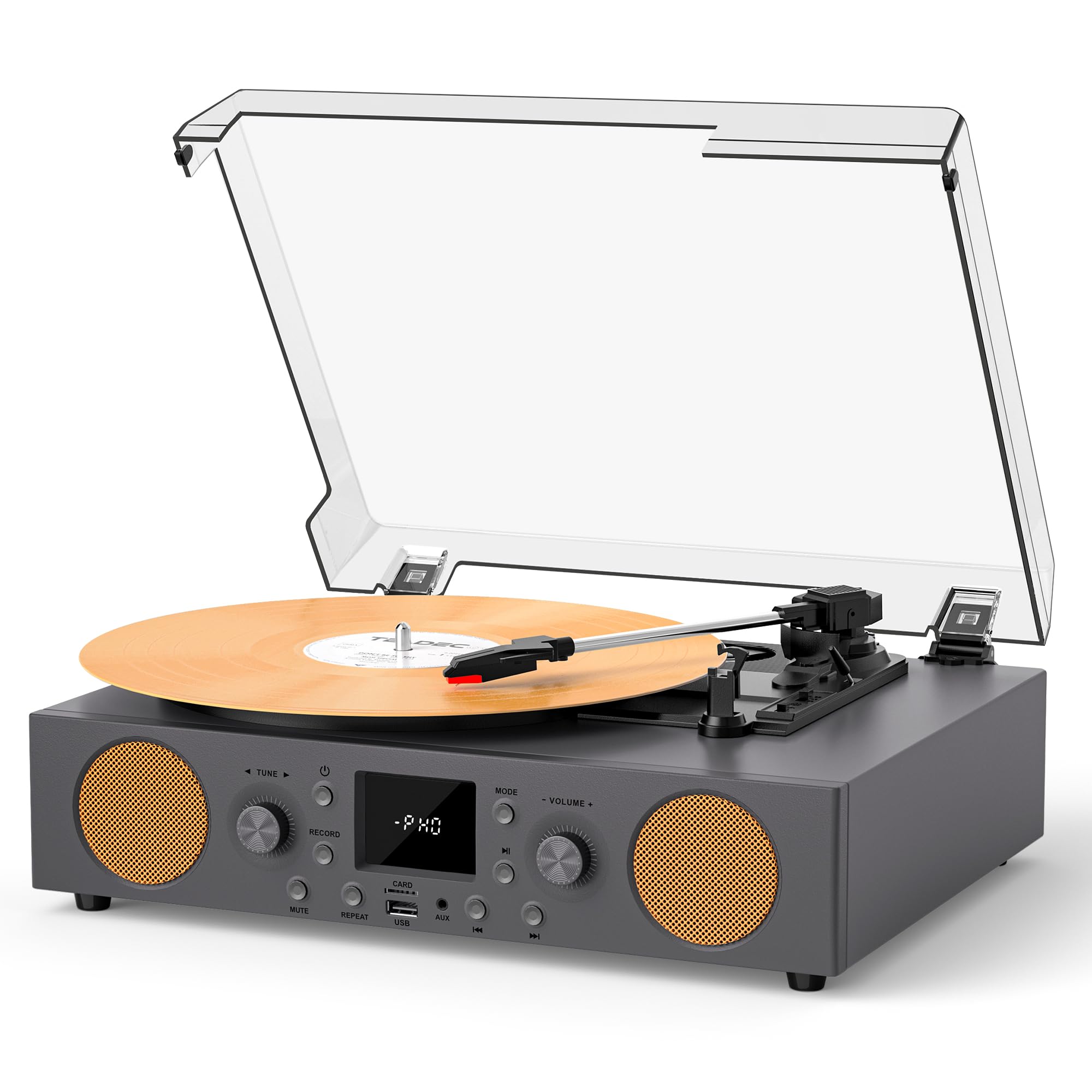 Vinyl Record Player with Speakers, 10 in 1 Vinyl Record with USB Recording Mute Sound, 3 Speed Vintage Turntable with Bluetooth