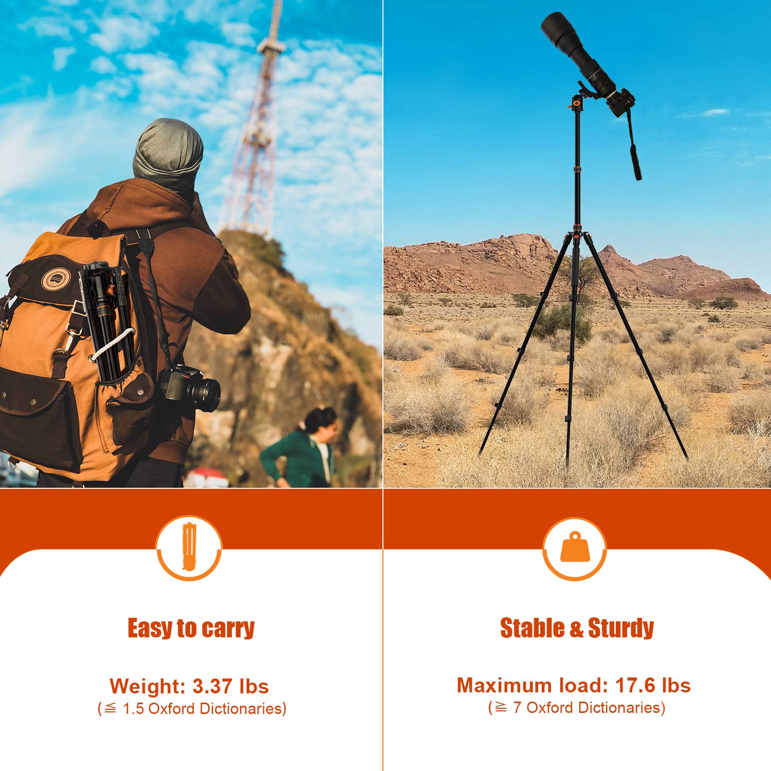 PHOPIK 77" Travel Tripod for DSLR - Lightweight, 360° Ball Head, Black, Model PT244, Supports up to 17.6 lbs, Includes Carry Bag