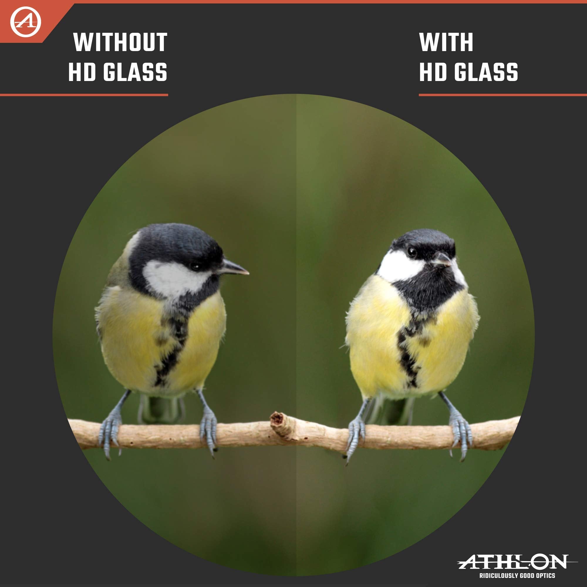 Athlon Optics 10X42 Talos G2 Hd Binoculars With Eye Relief For Adults And Kids, High Powered Binoculars For Hunting, Birdwatchin