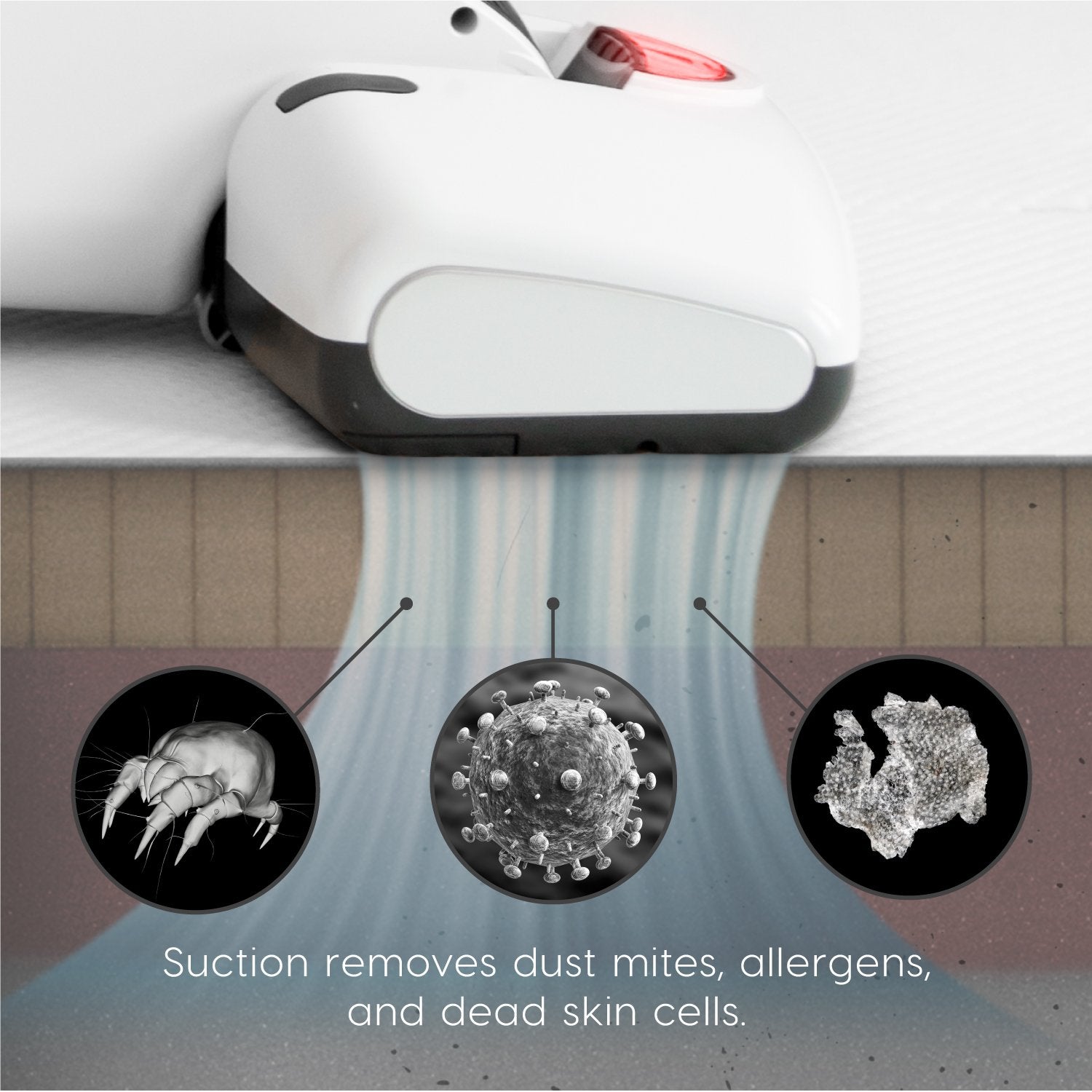 Iris Usa Ic Fdc1 Cordless Mattress And Furniture Vacuum Cleaner, Espresso