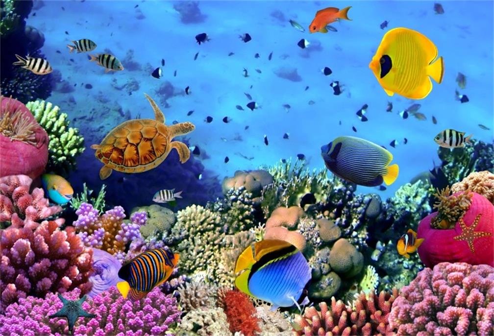 Aofoto 5X3Ft Under Sea Seabed World Backdrop Underwater Scene Colorful Marine Coral Fishes Aquarium Photography Background Divin