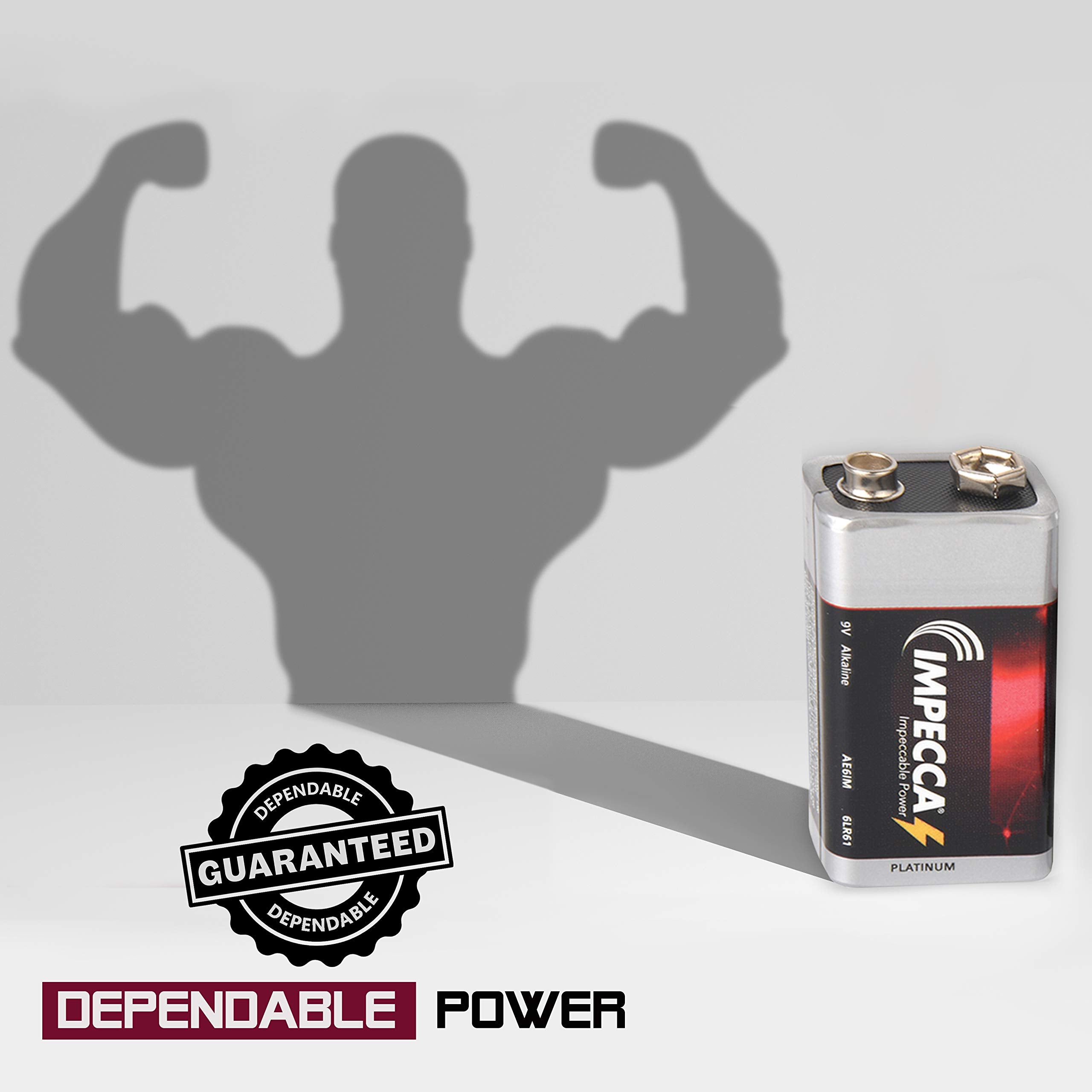 Impecca 9 Volt Batteries, Premium Alkaline (24 Pack) High Performance, Ultra Long Lasting, And Leak Resistant All Purpose 9V, 24